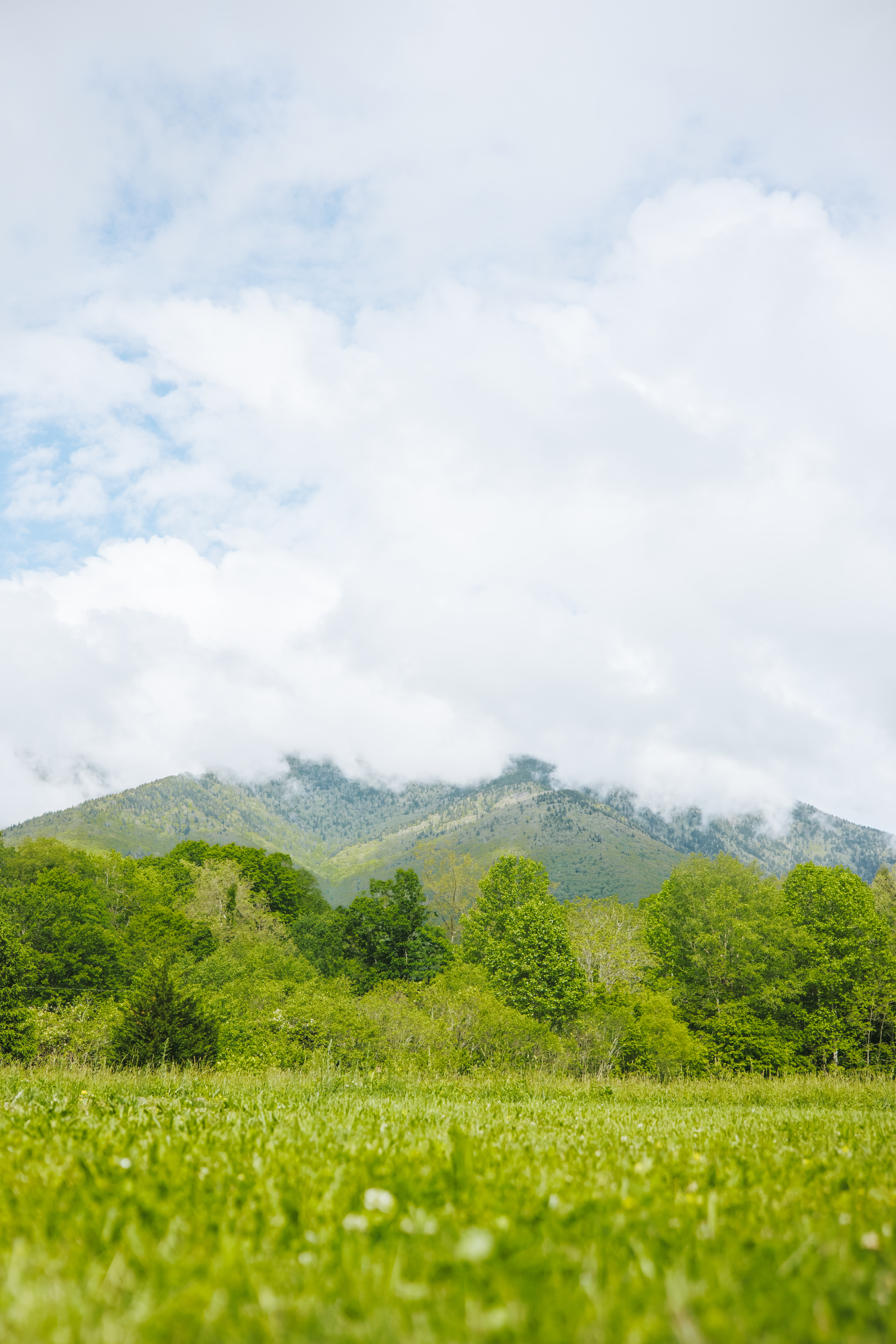 The view from your site. 