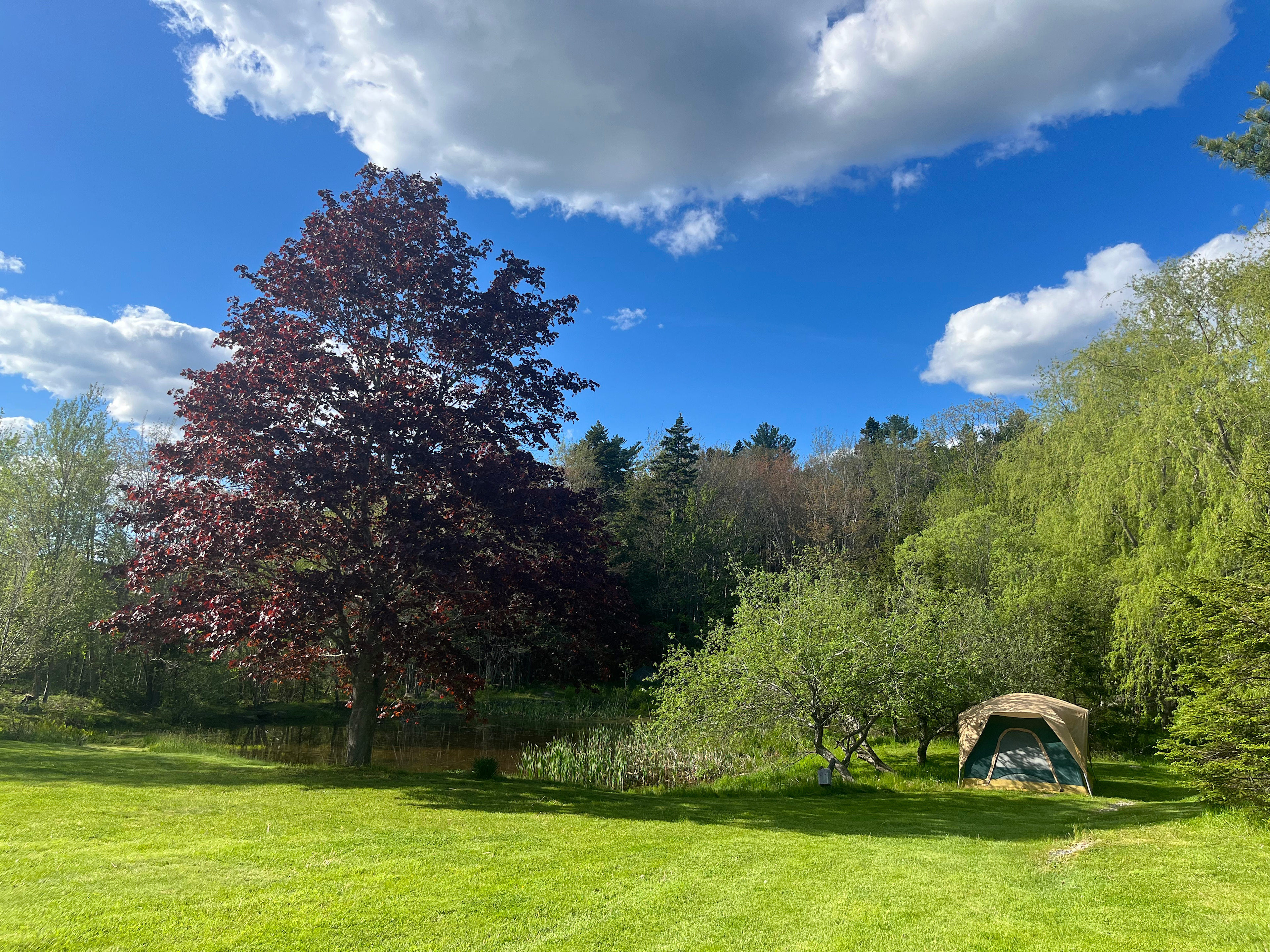 Boondockers Lunenburg