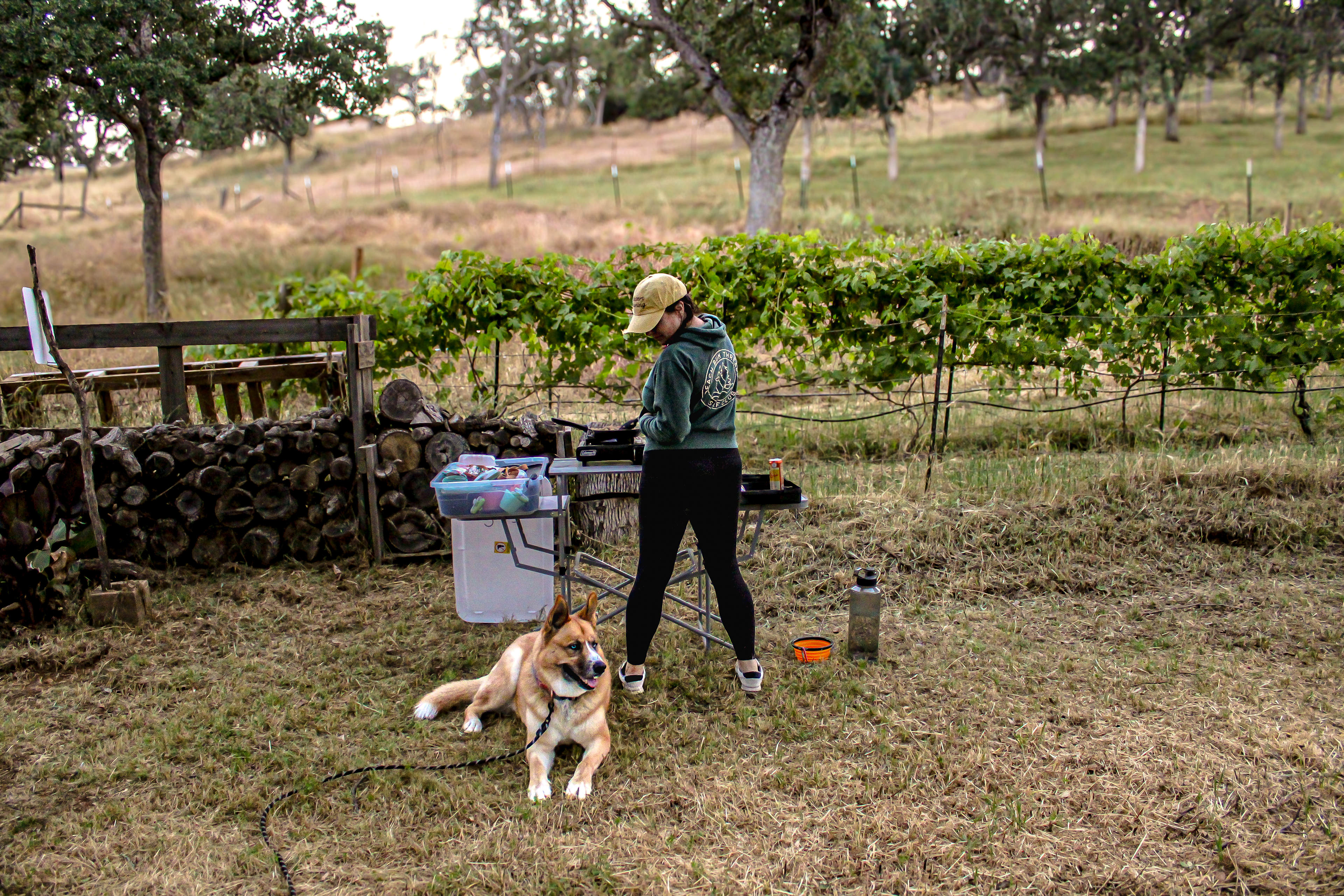 Beautiful view from the site overlooking the vineyards