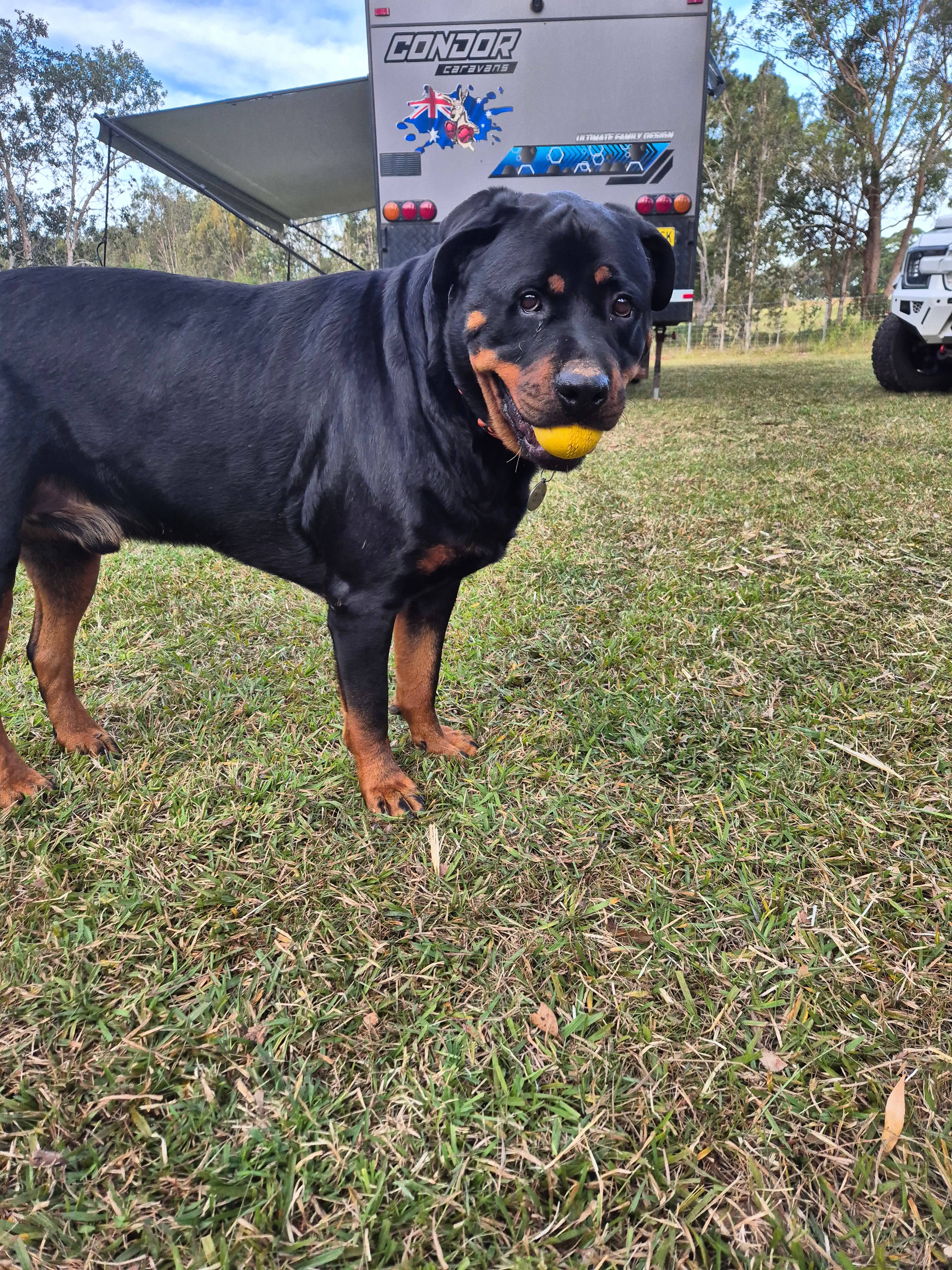 Diamond Park Campsite