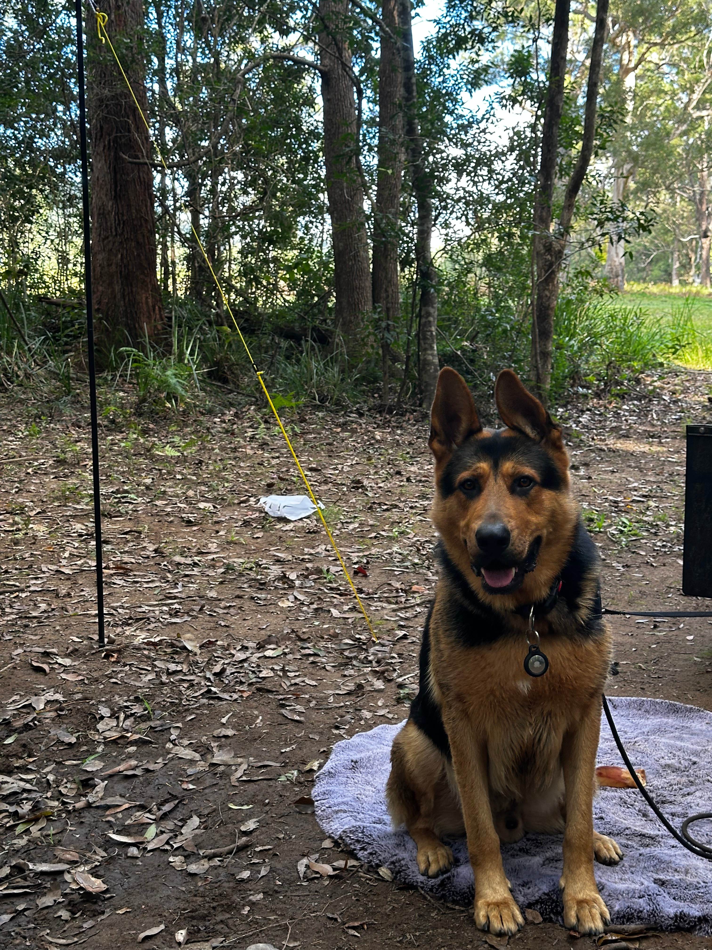 Belli Downs -Whole site to yourself