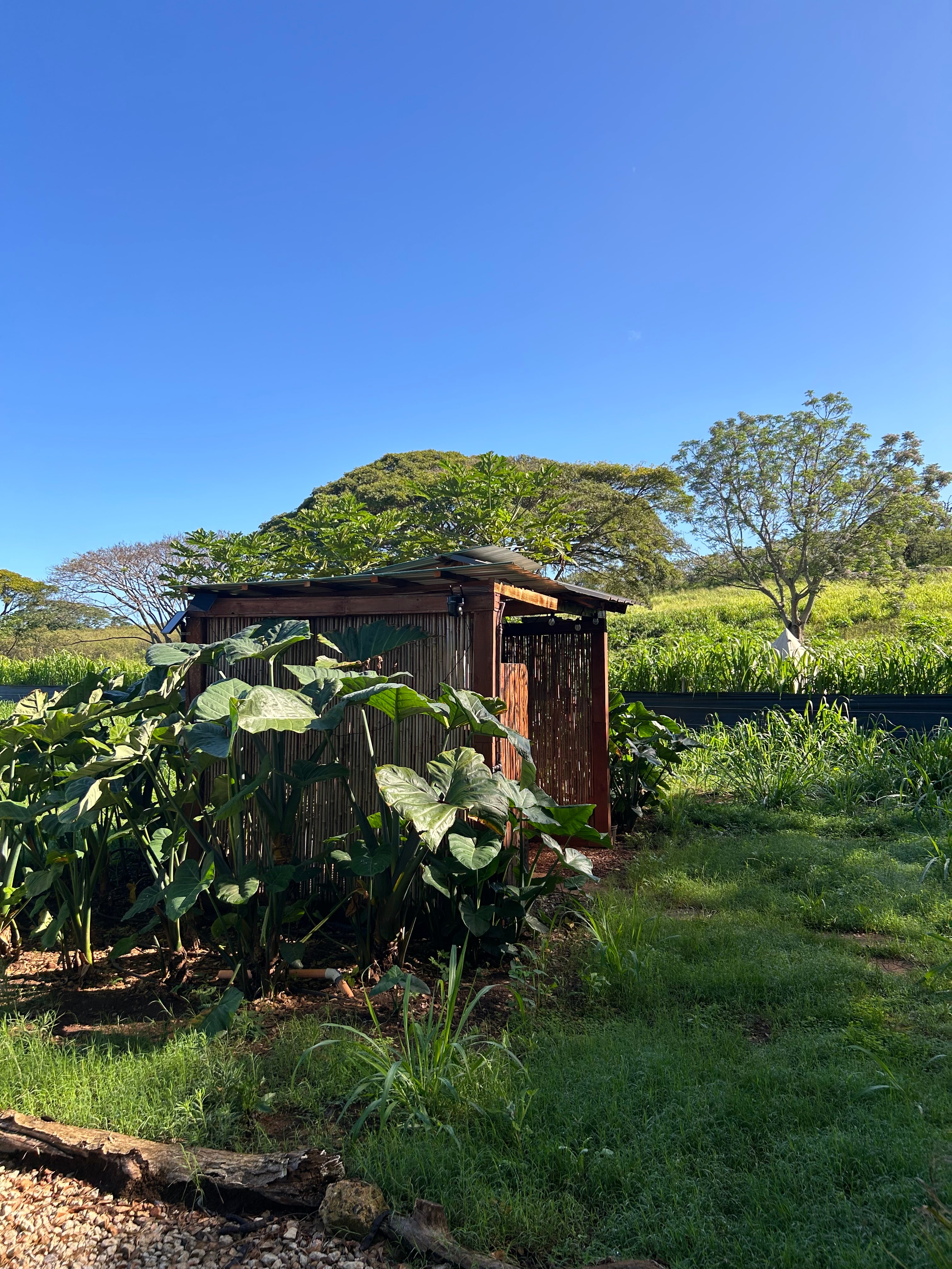 Aloha Family Farms