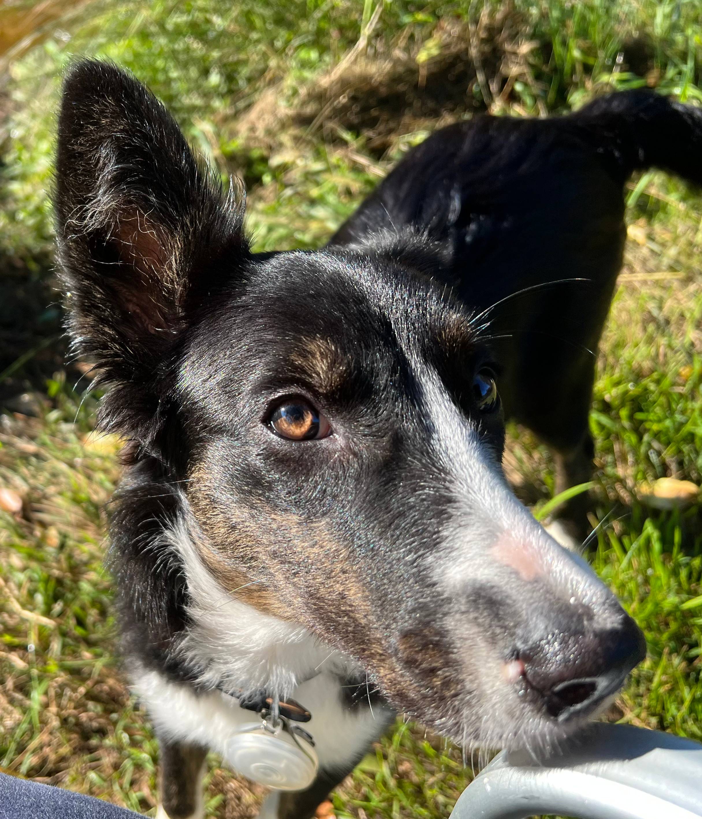 Bass Billabong - Cedar Creek Farm