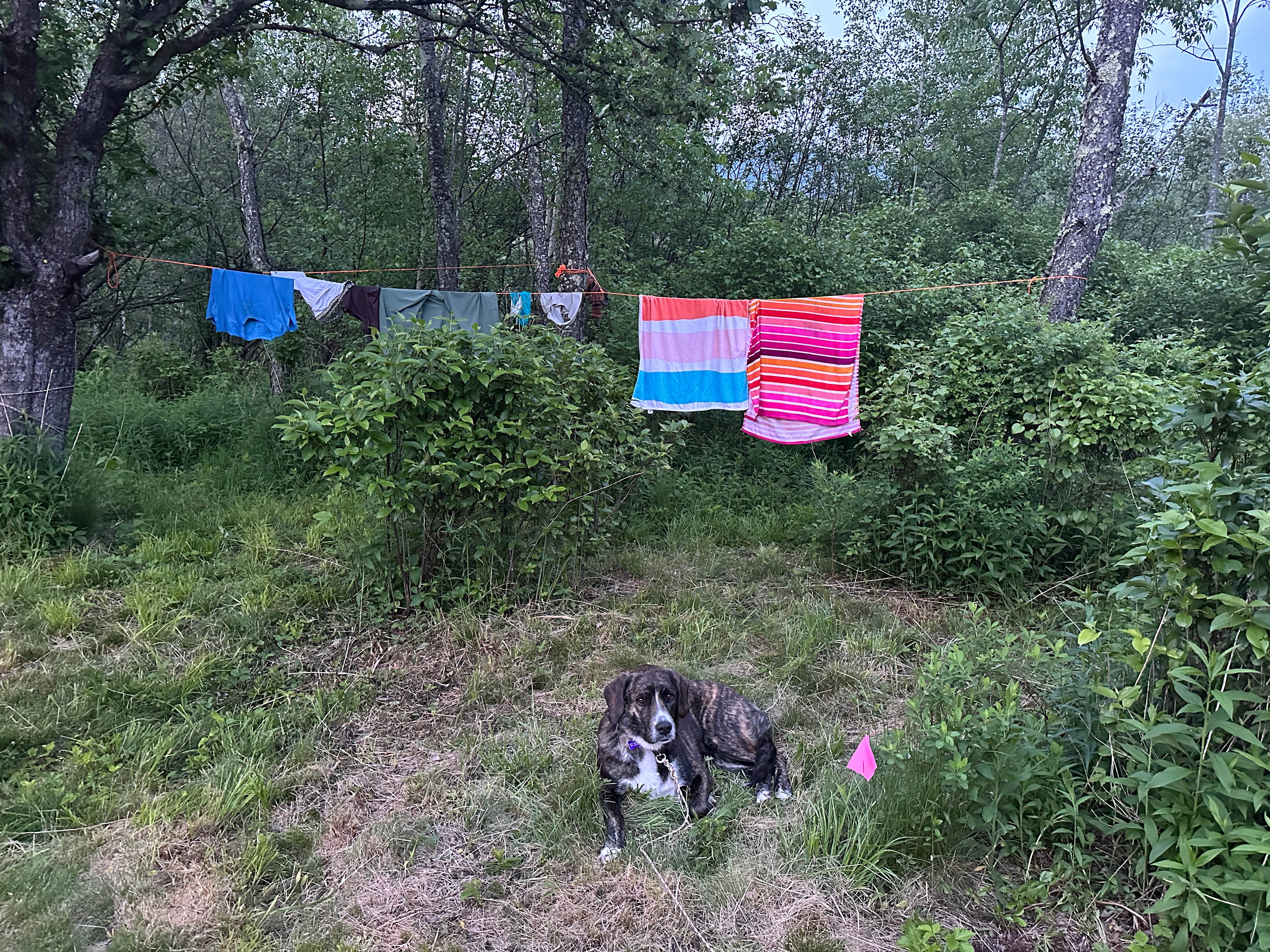 We set up our own clothesline