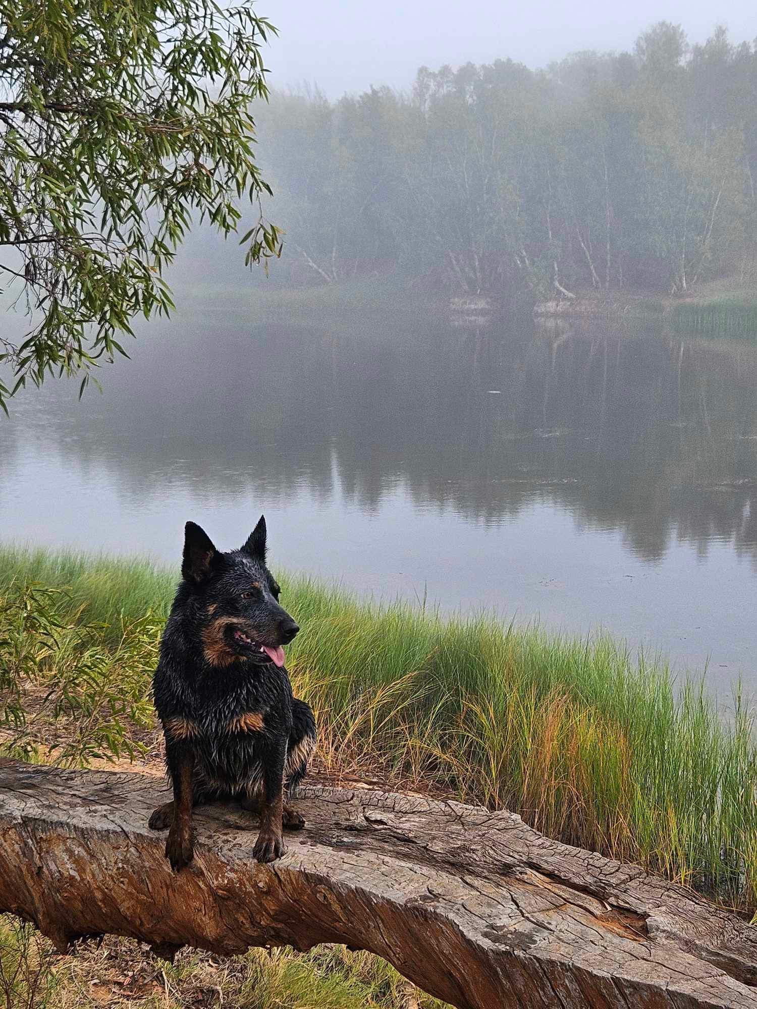 Sandhurst Tavern Campsite