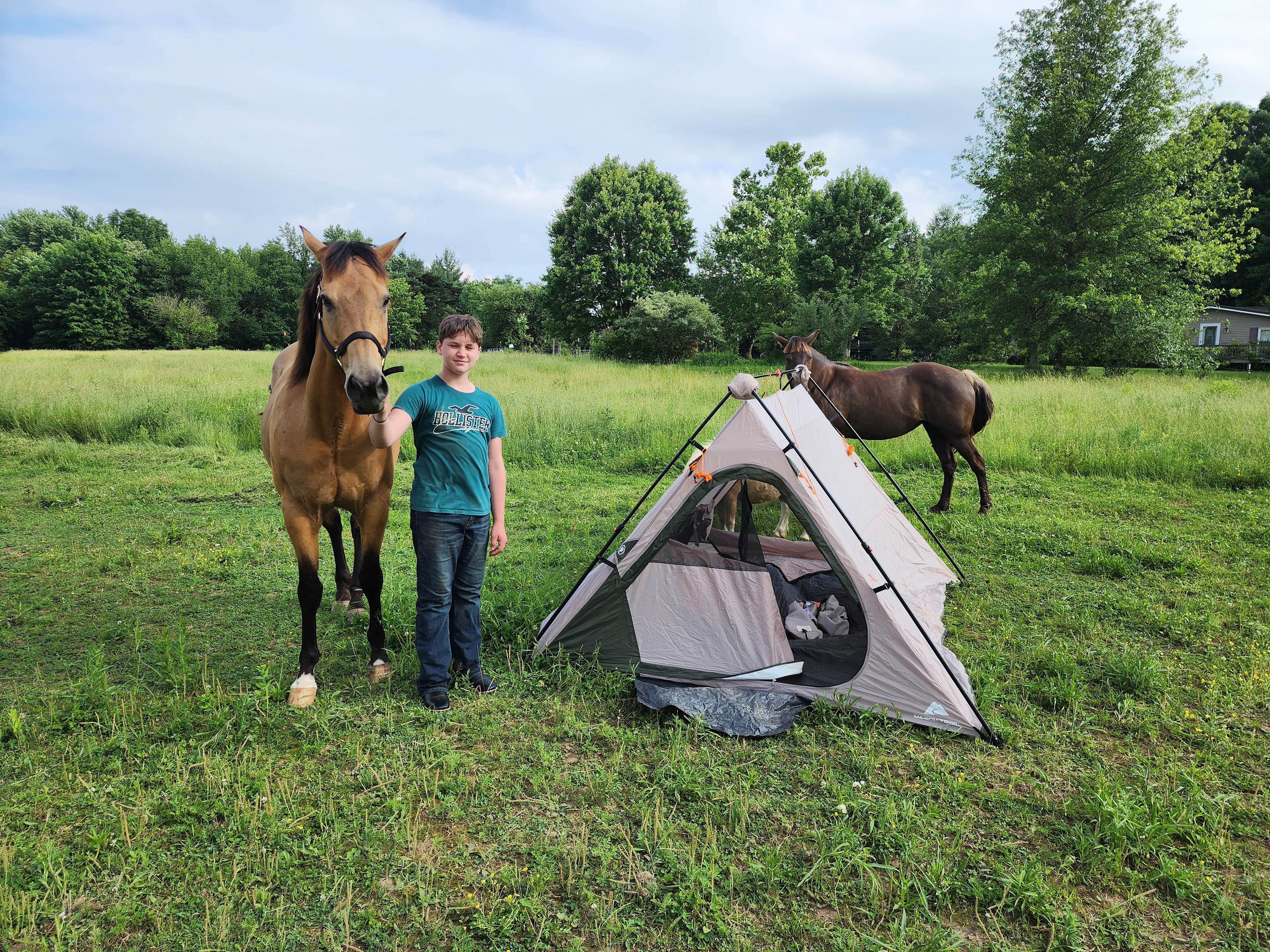 Starlight Hollow Farms