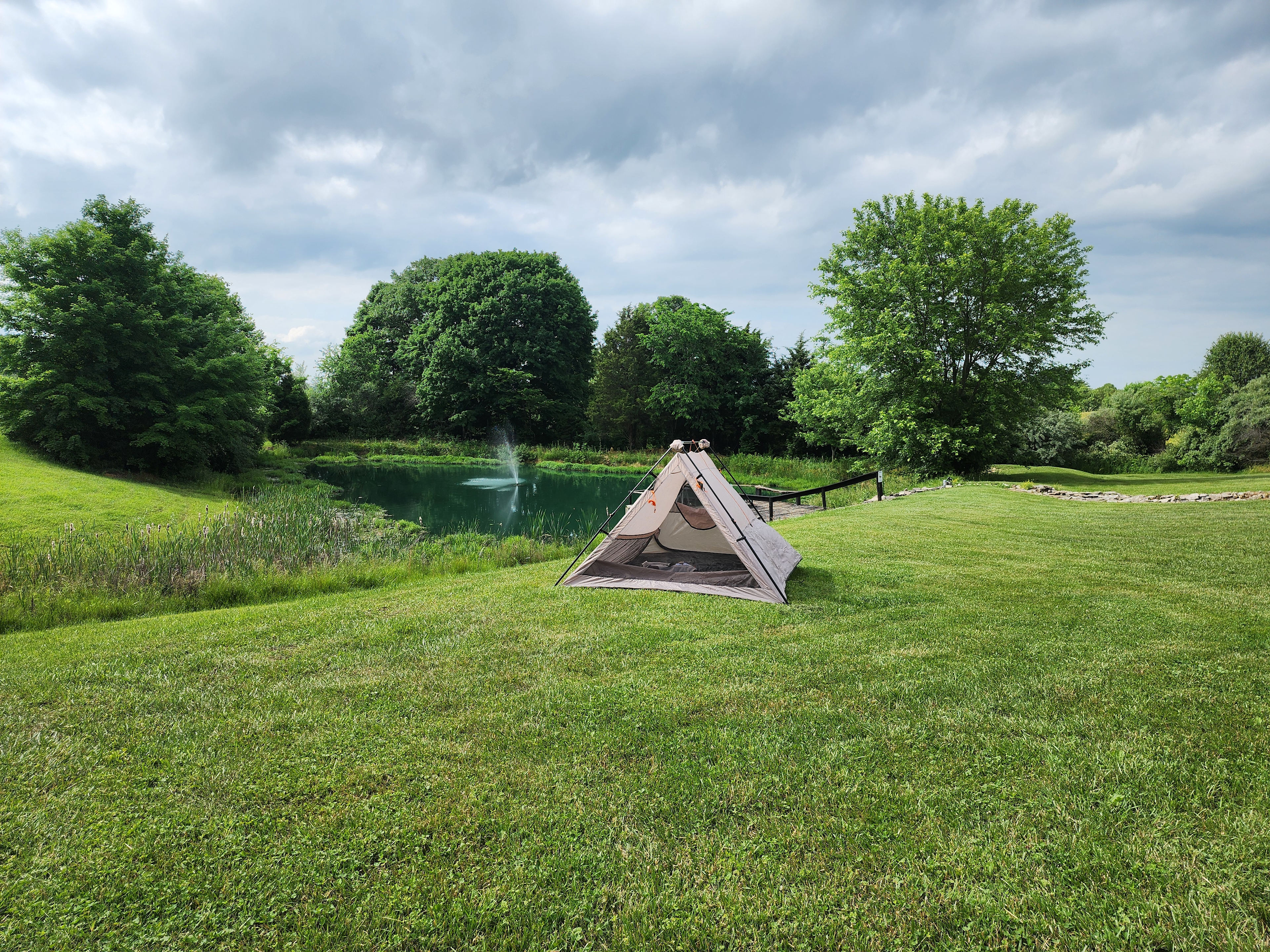 Starlight Hollow Farms