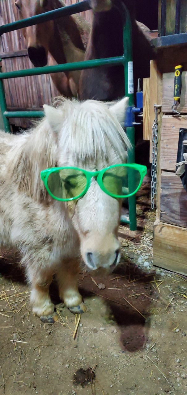 Starlight Hollow Farms