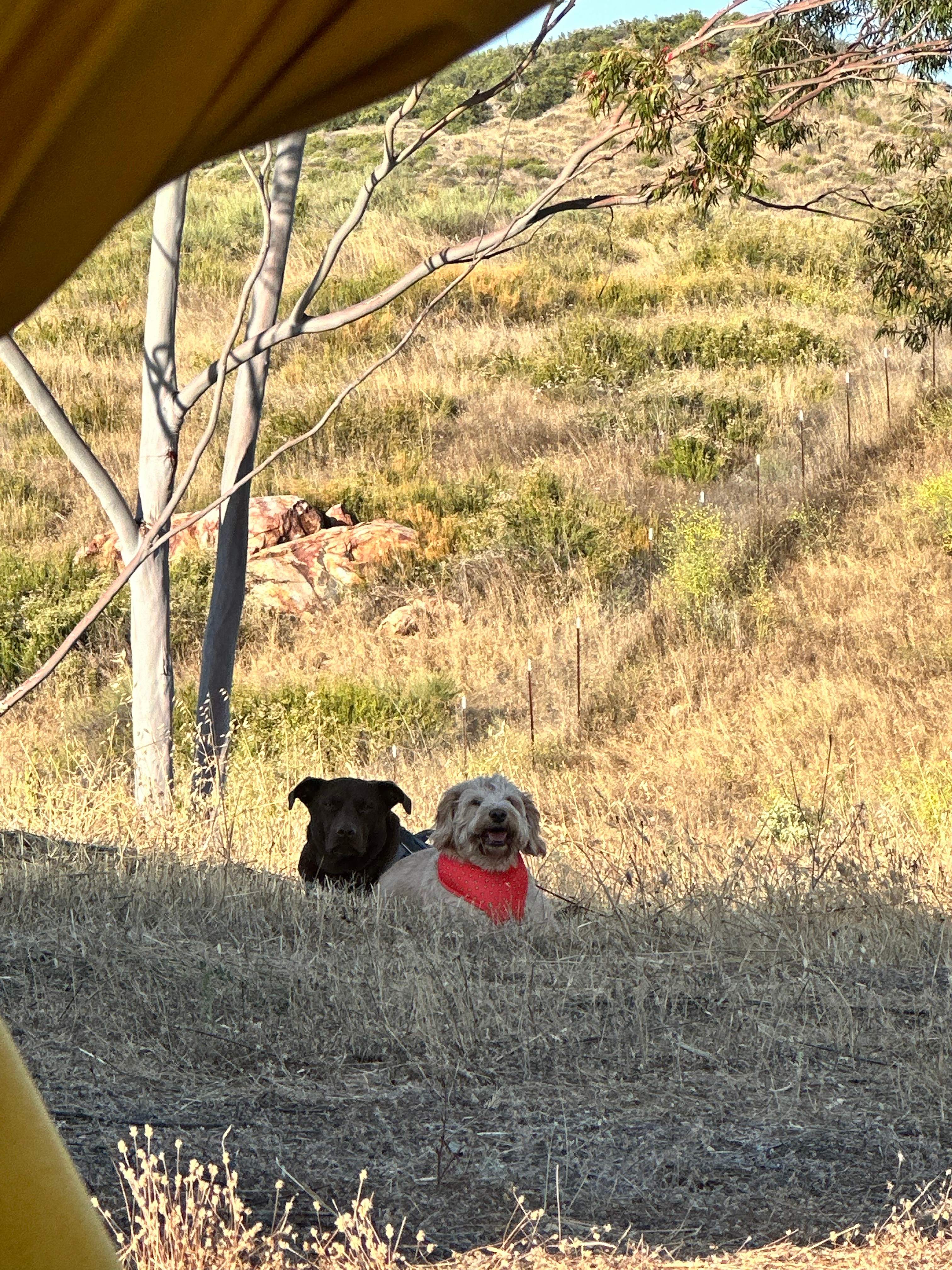 Hidden Falls Preserve