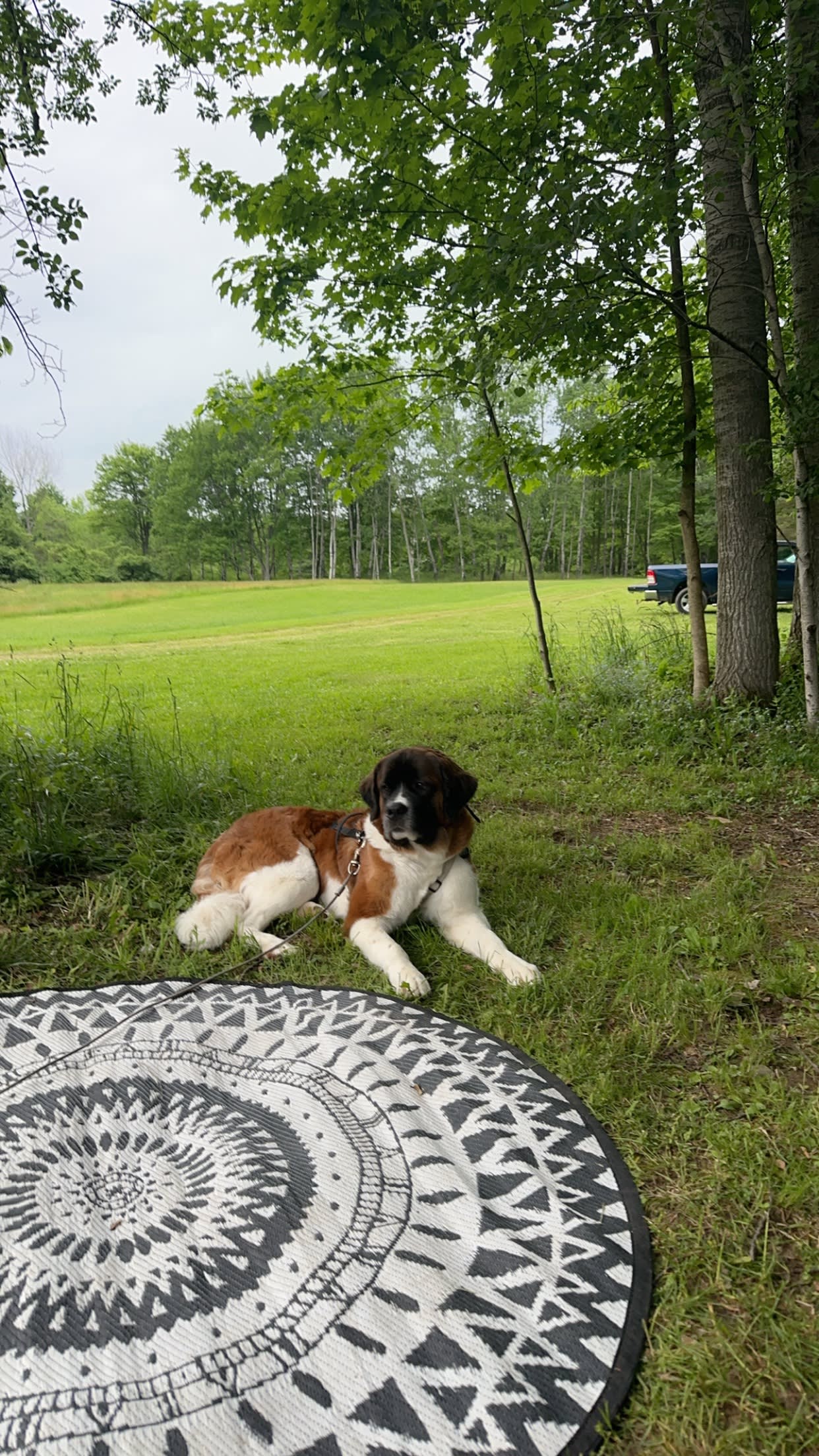 Plum Good Campground