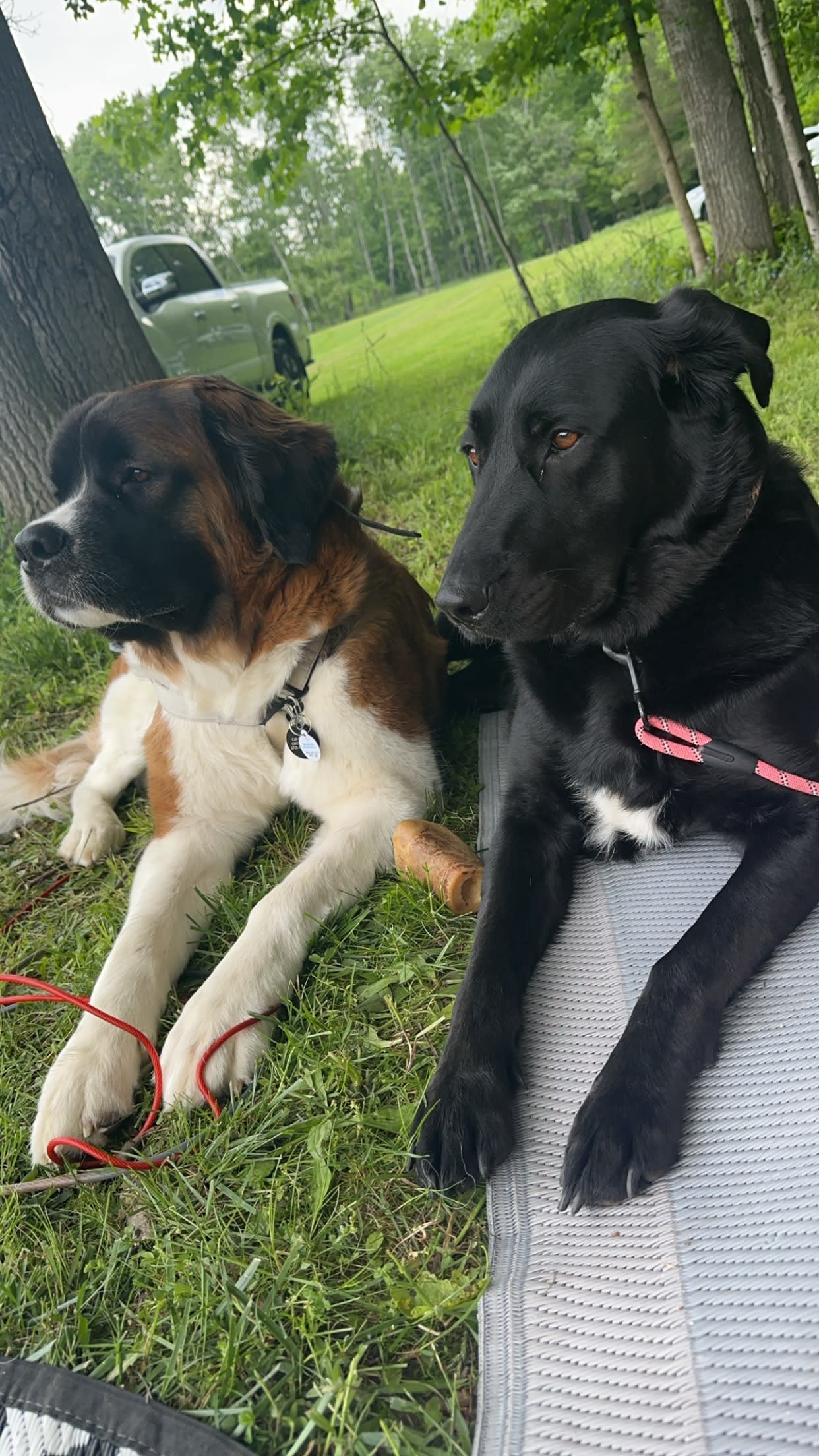 Plum Good Campground