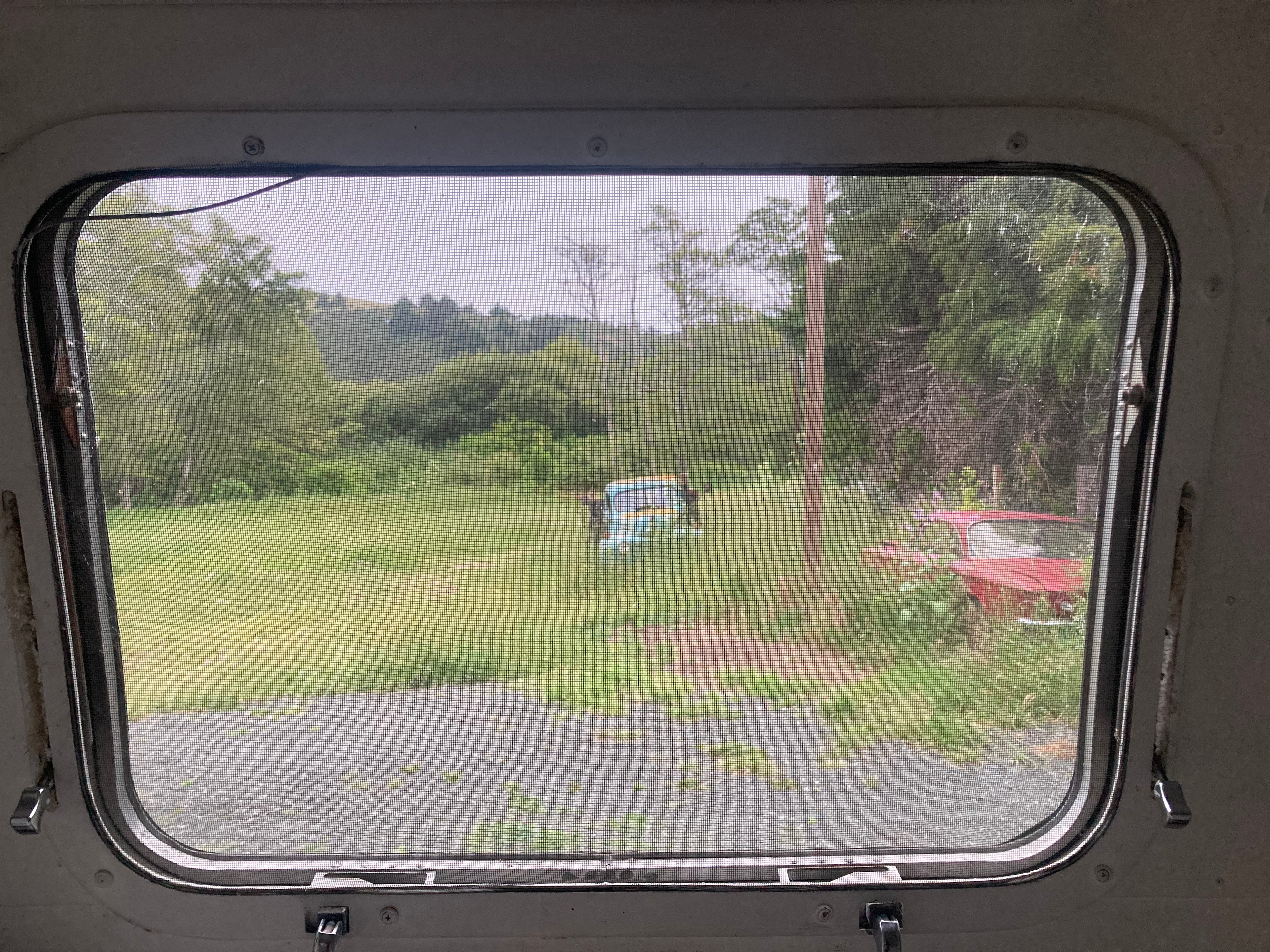 Gro 4 Gold Plant Studio