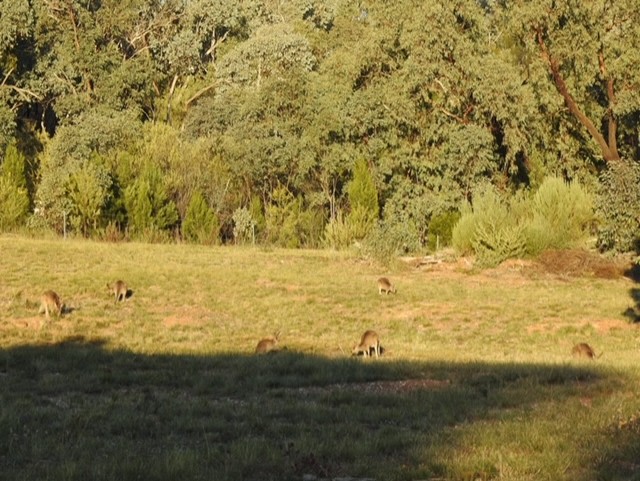 Serendipity Campground