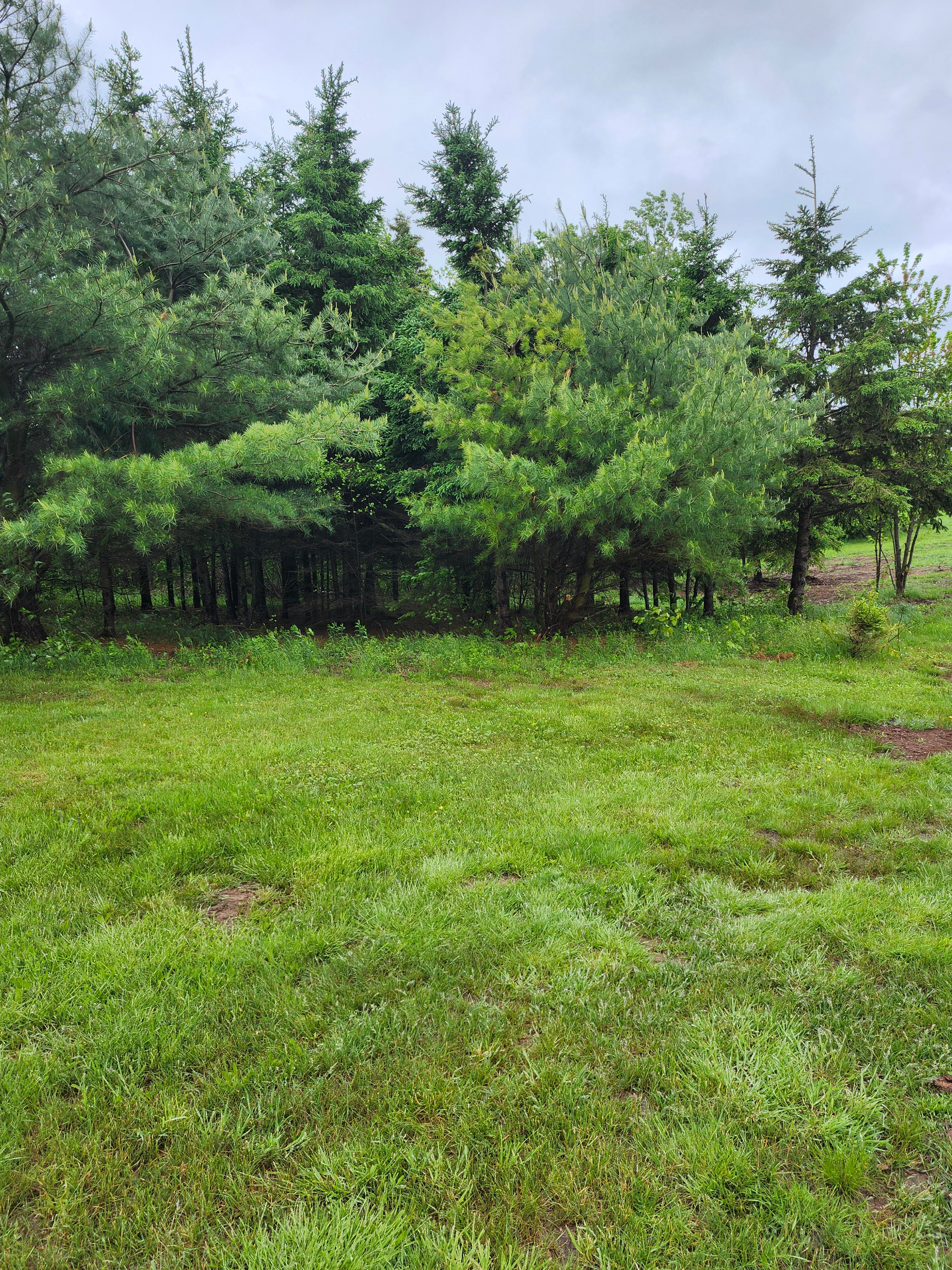 Peaceful Acres