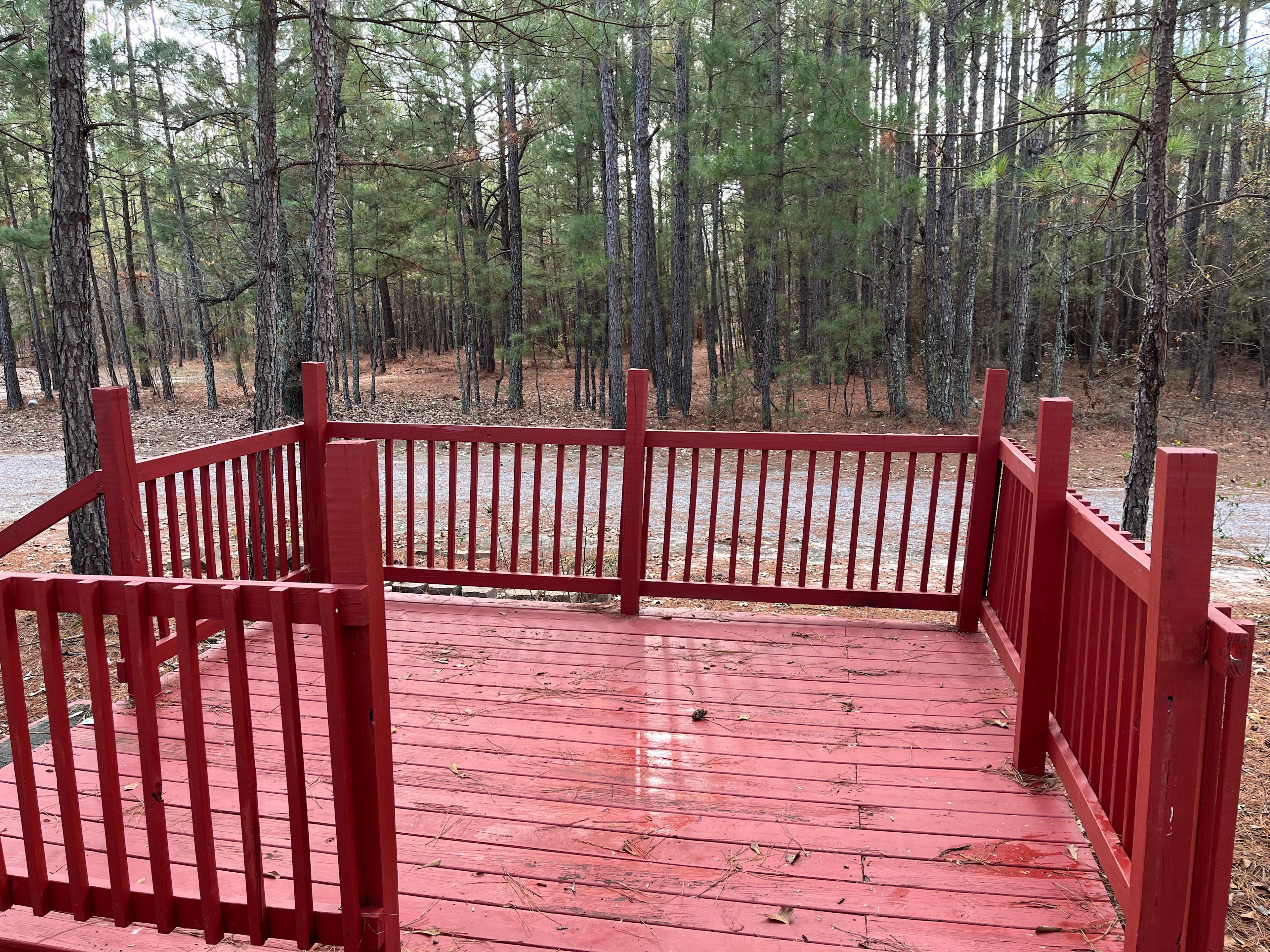 Southern Pines Carolina Dream