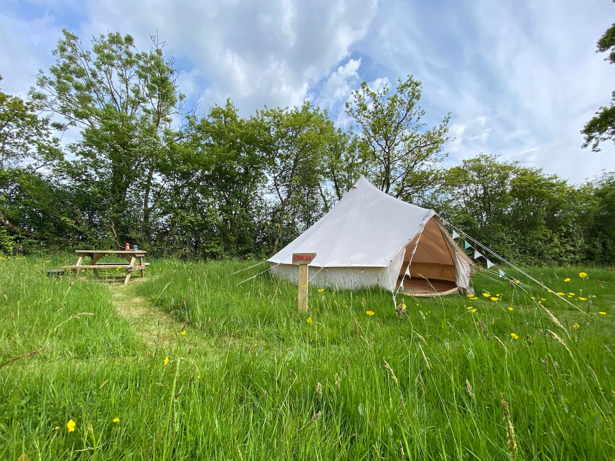 Wild Flower Meadow Campsite
