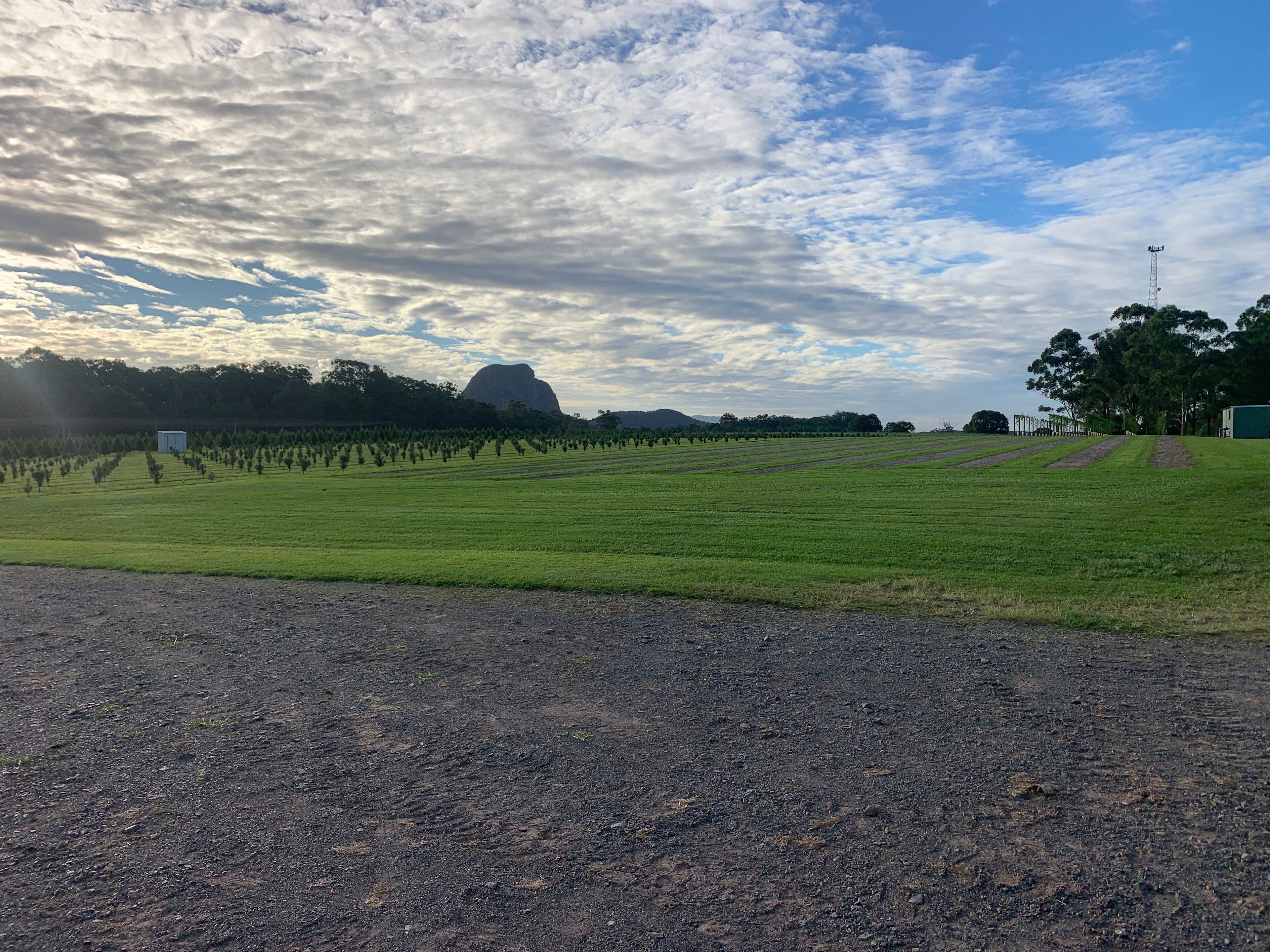 Mountain Country Farm Stay