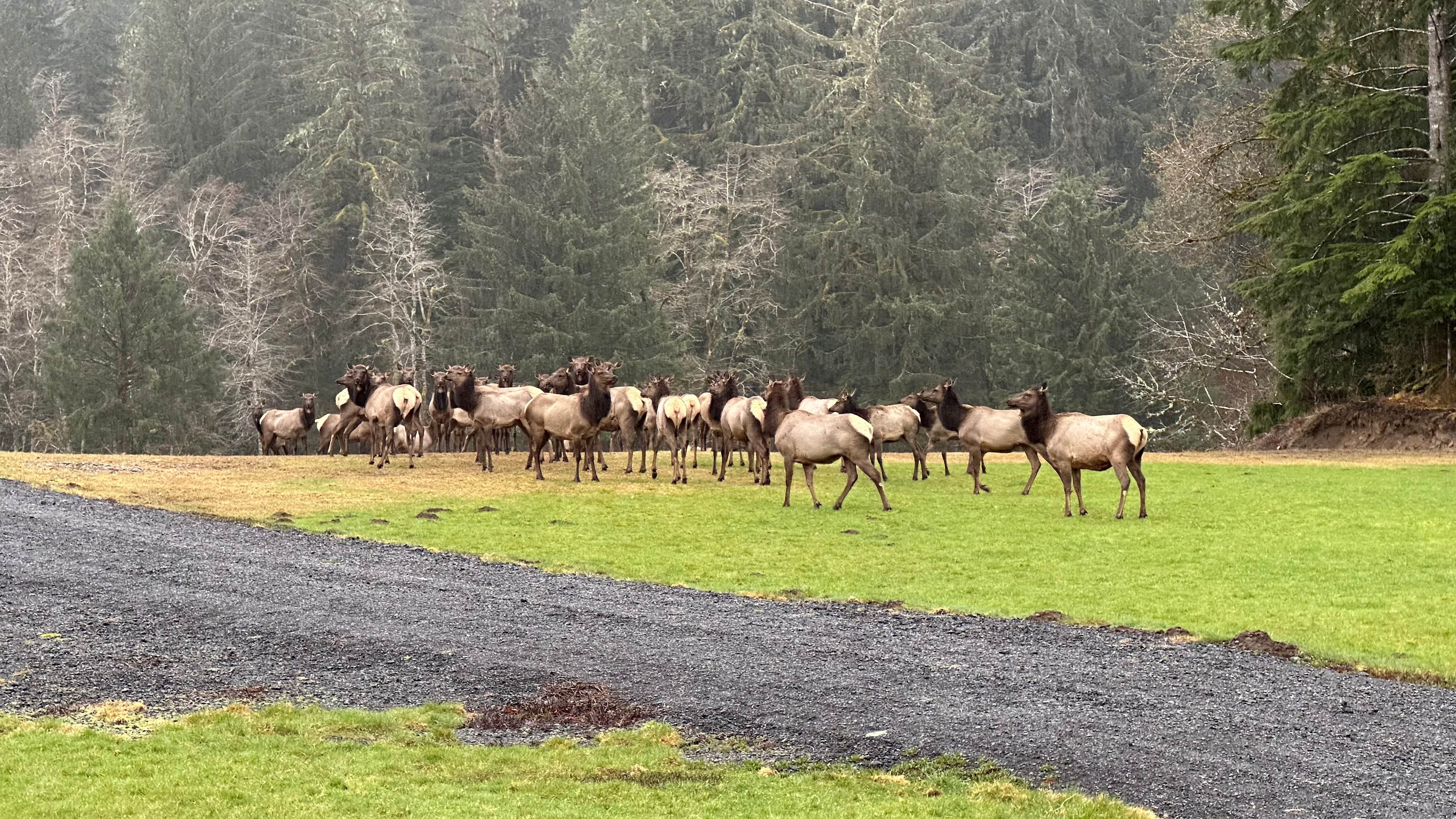 frequent visitors.....
