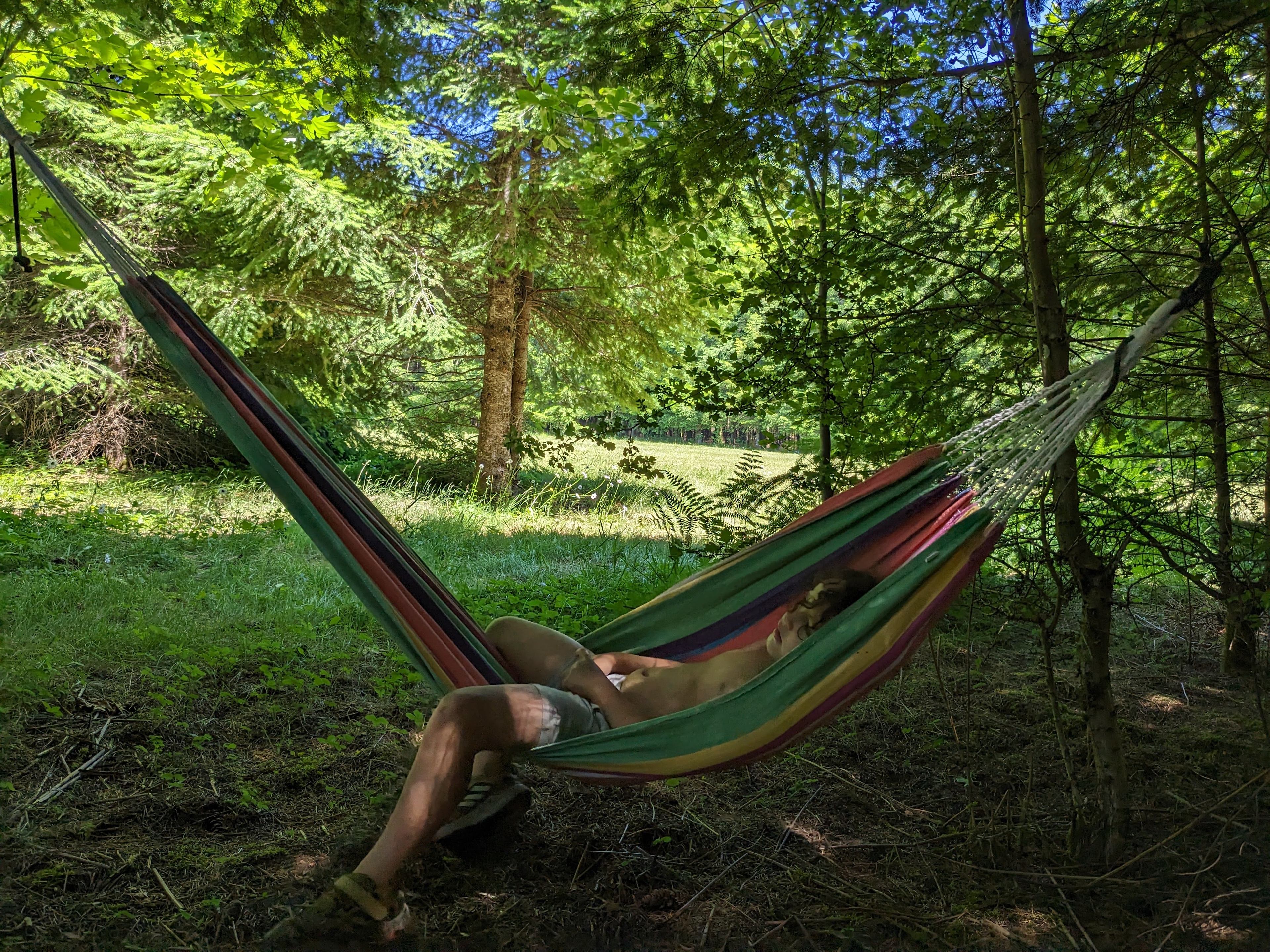 Hoodland Basecamp at Scrumpy Farest