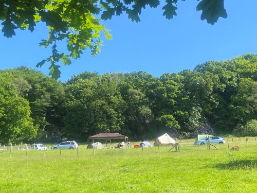 Small Meadow Campsite, Fairlight