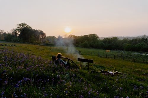 Small Meadow Campsite, Fairlight