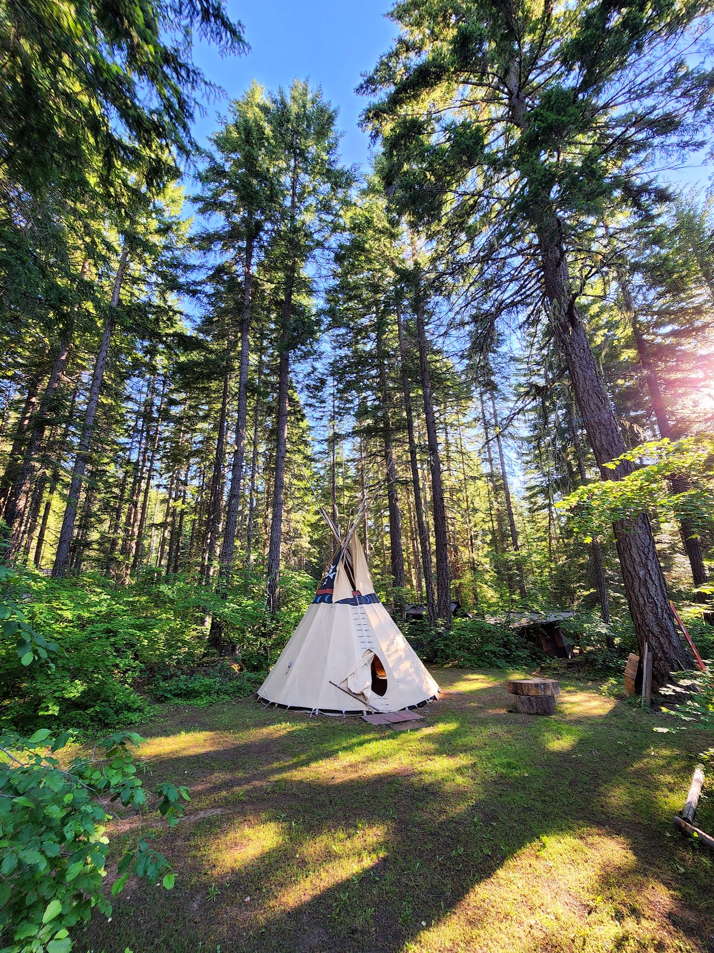 Towering Pines Tipi Camp