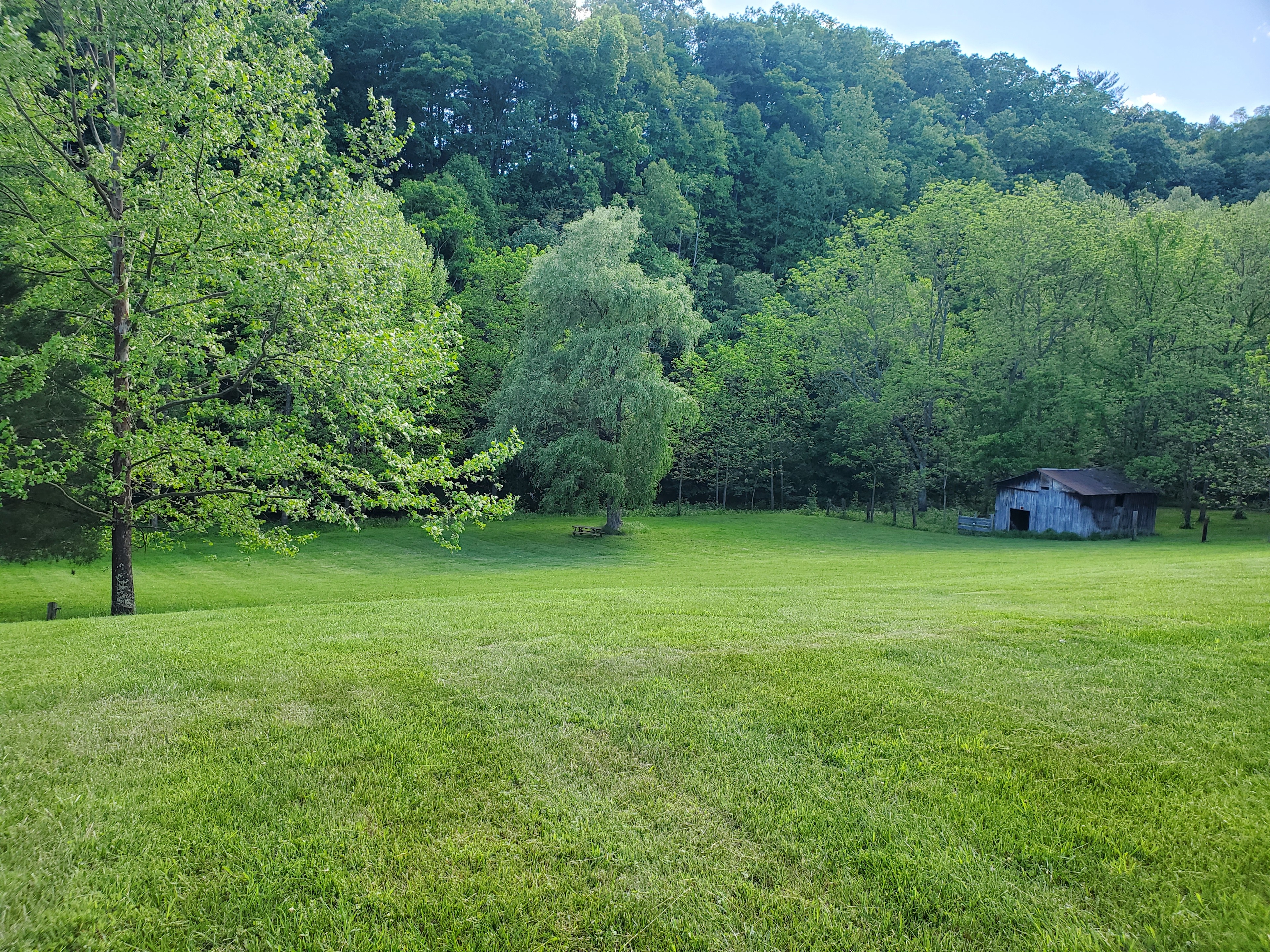 View from site.