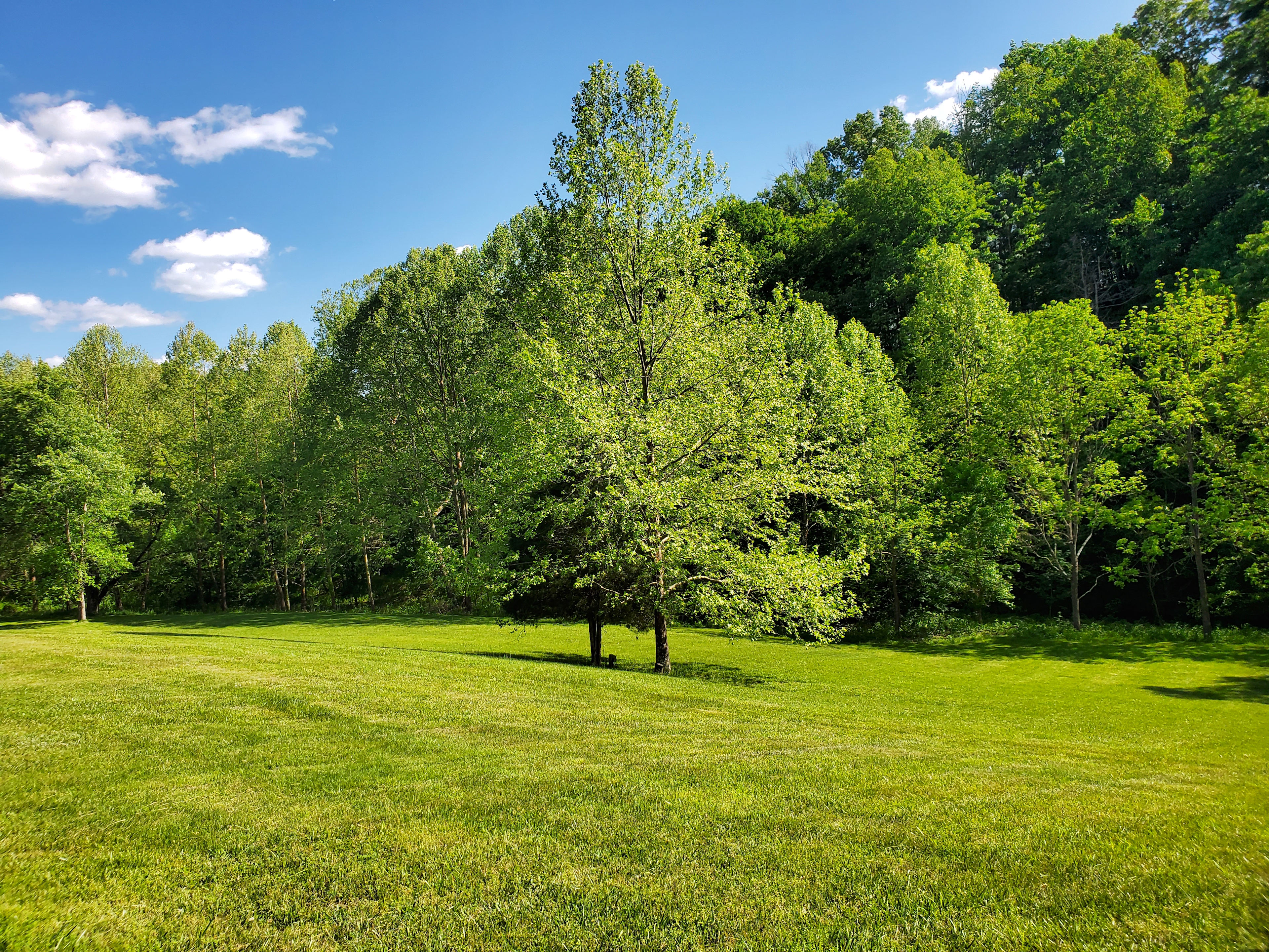 Scene looking slightly left from campsite.