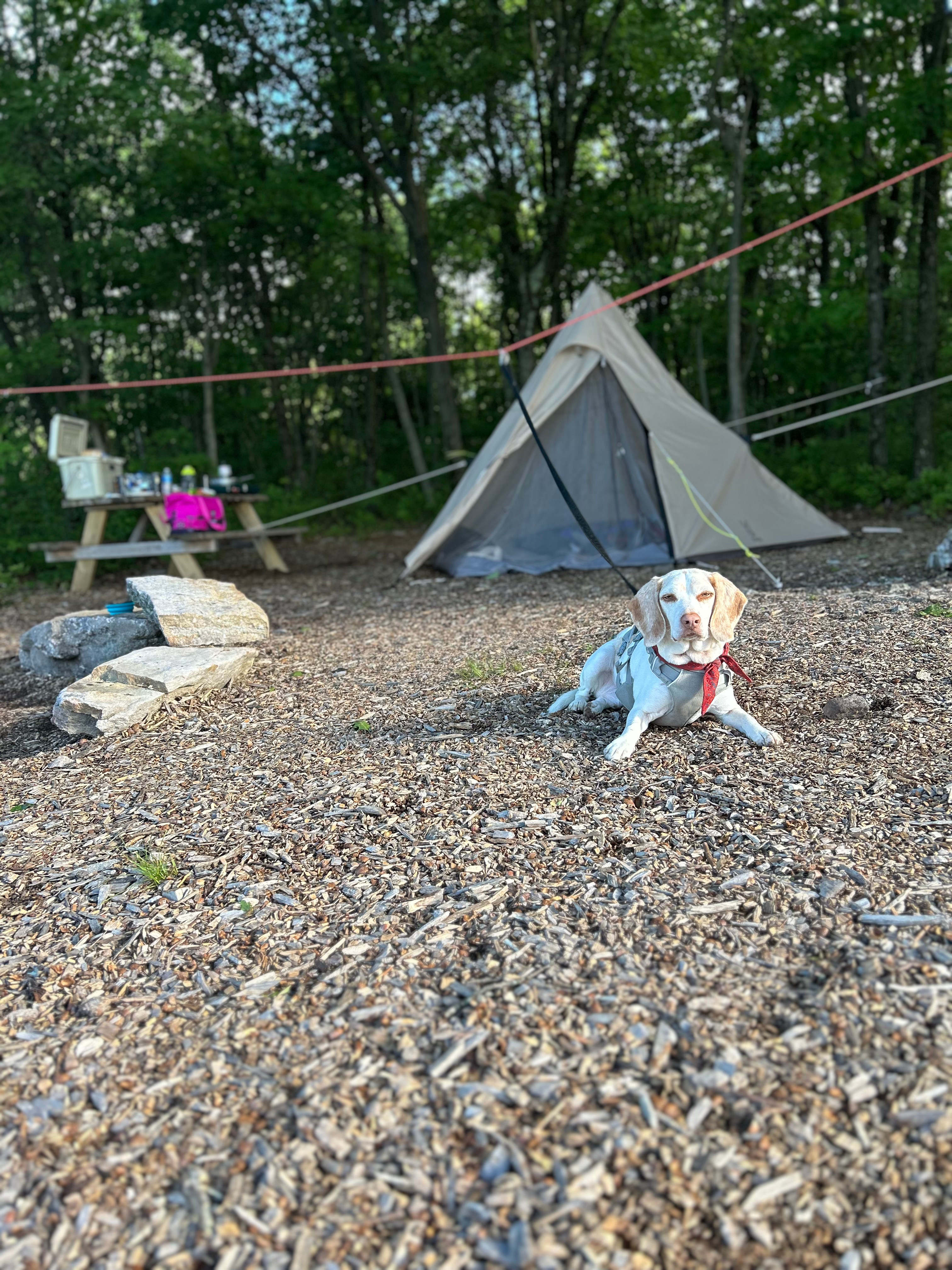 100 Mile View Camping, Jim Thorpe