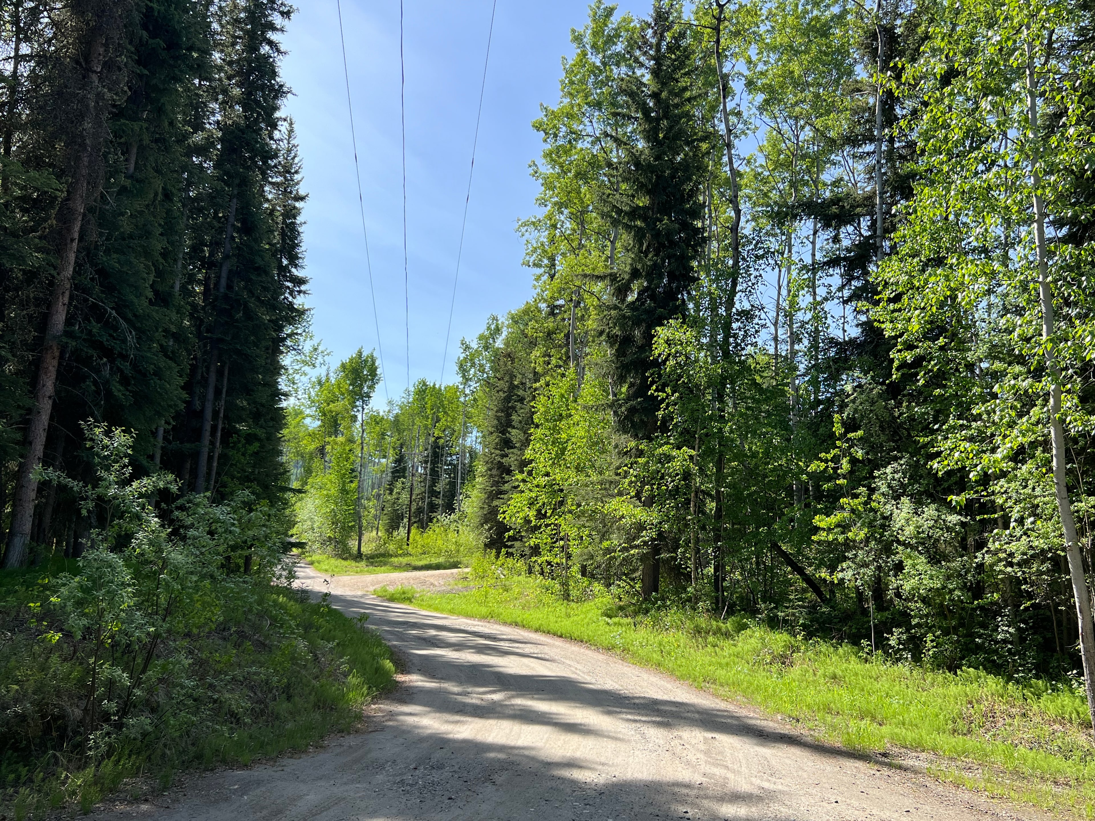 Road leading up to entrance to the property