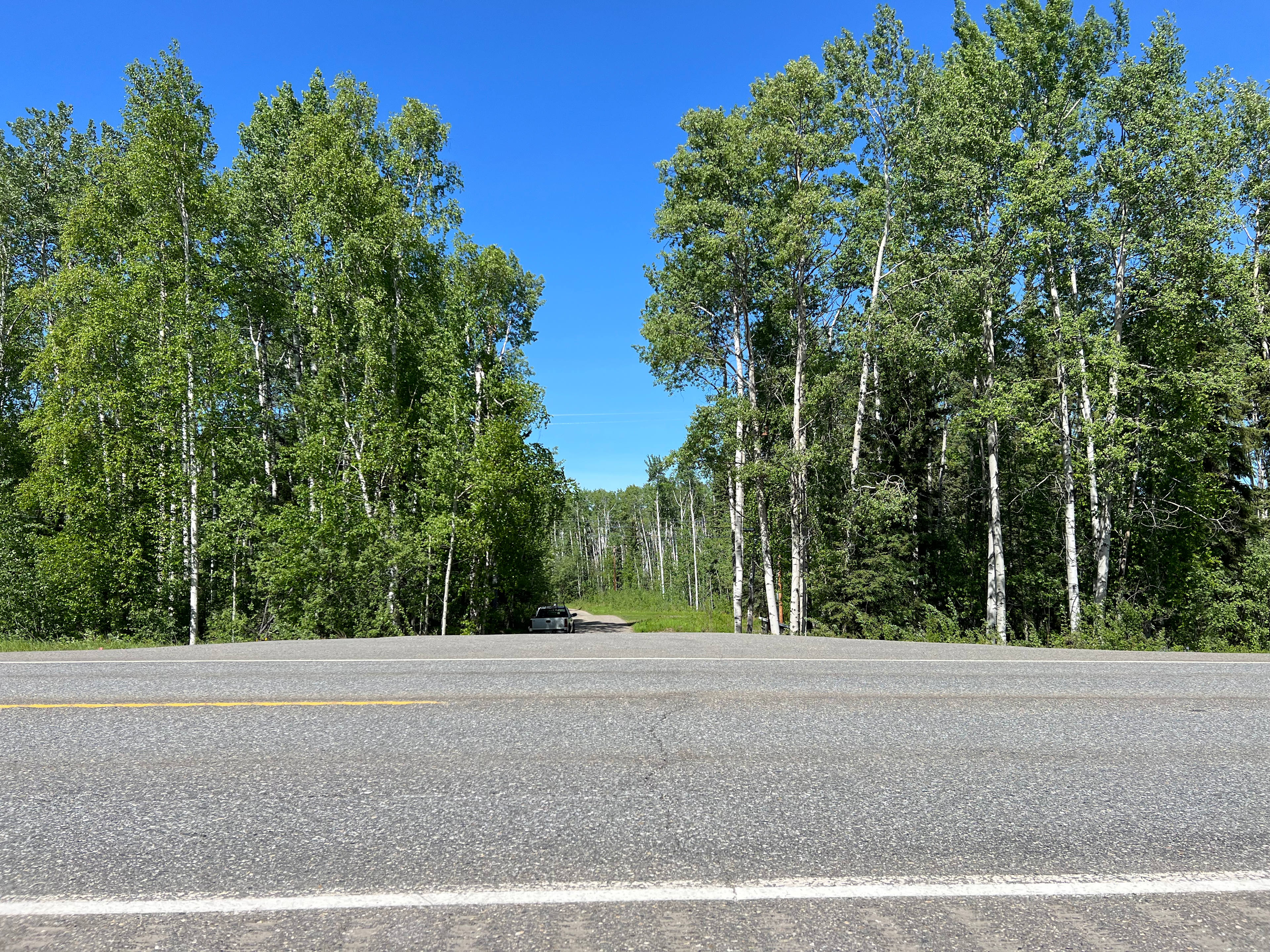 Mile Marker 314 George Parks Highway. Road to the property