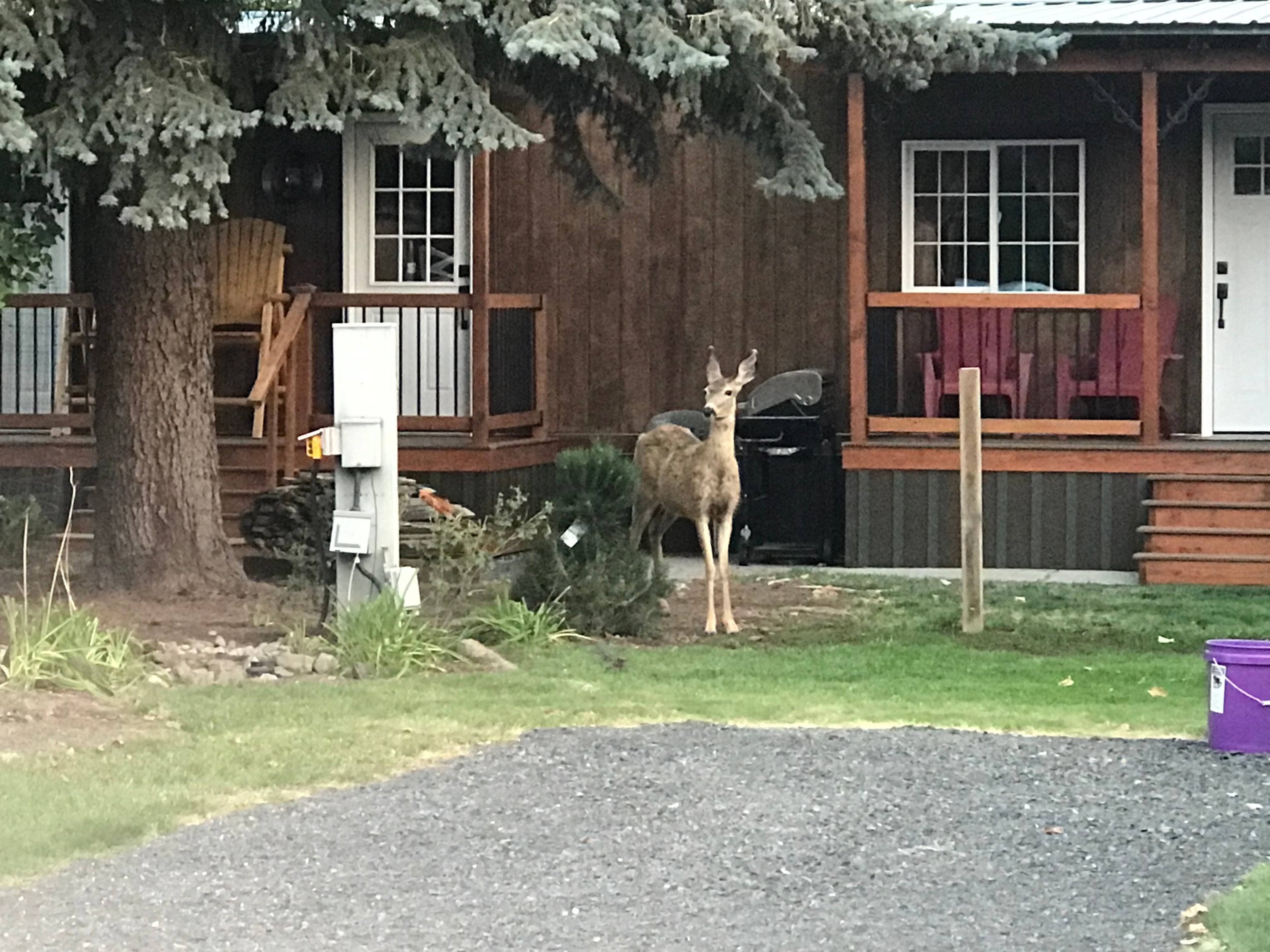 Goose Creek RV Park & Campground