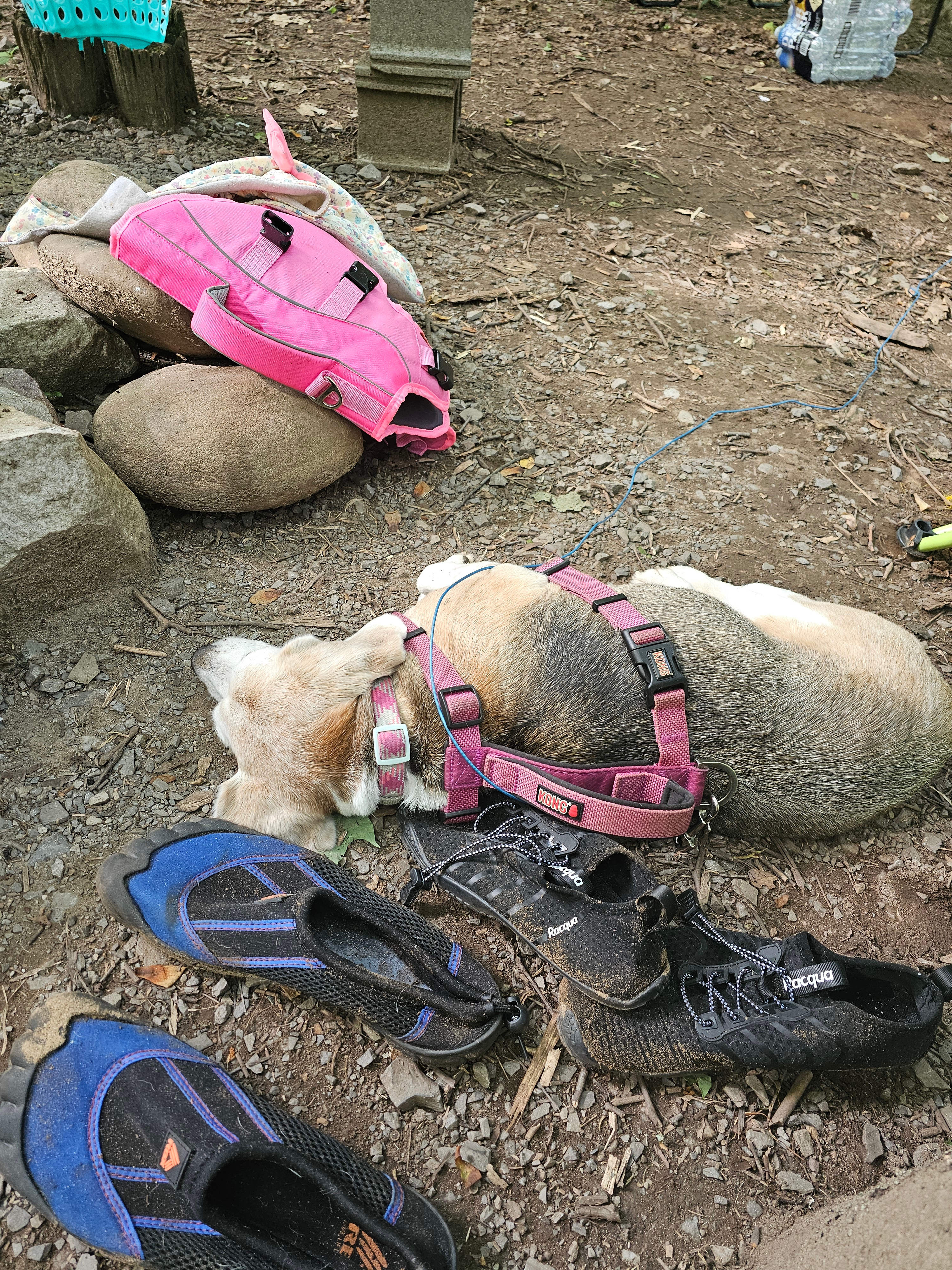 Brooklyn Heights Riverfront Camp