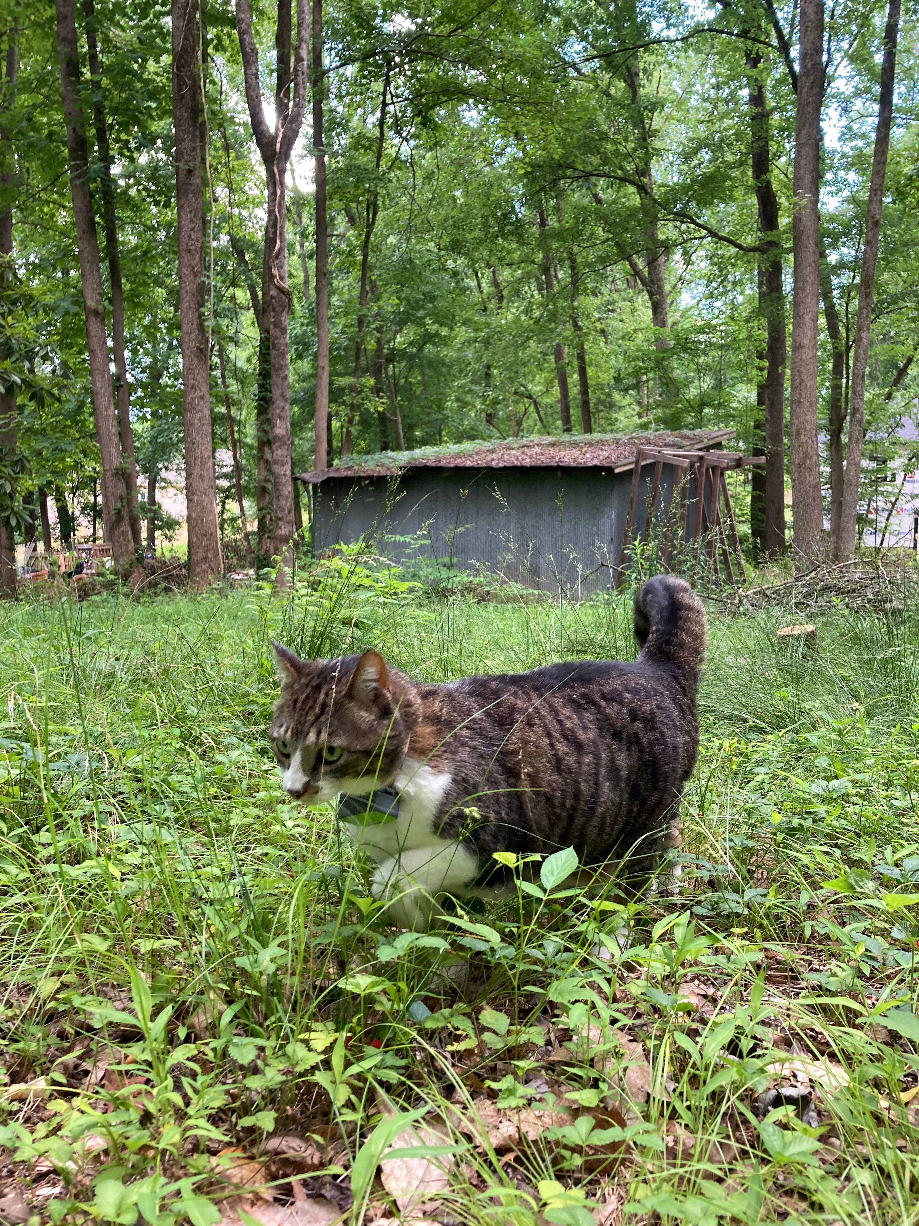 Flower & Fields Farm