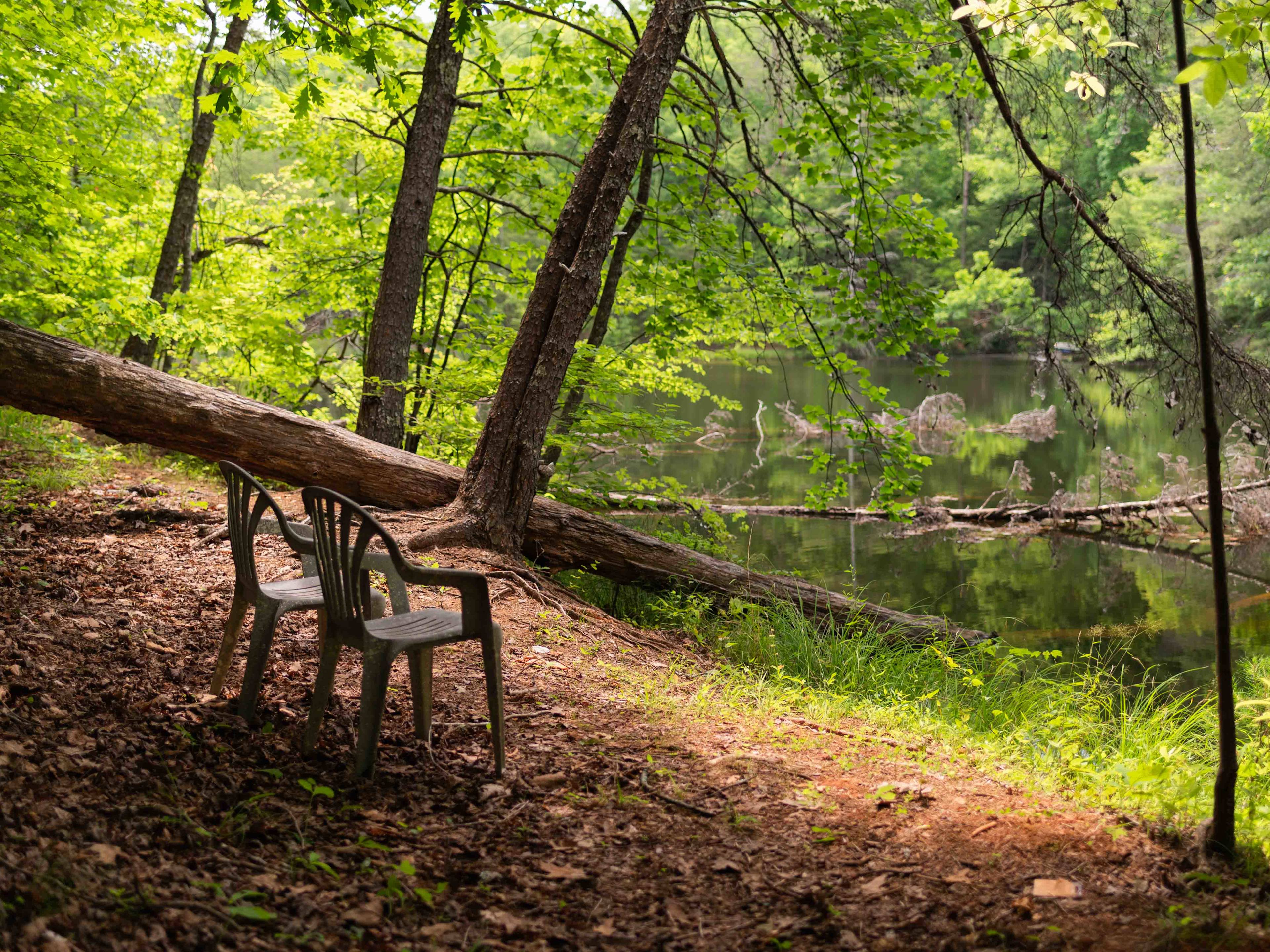 Wooded Camping at Pond