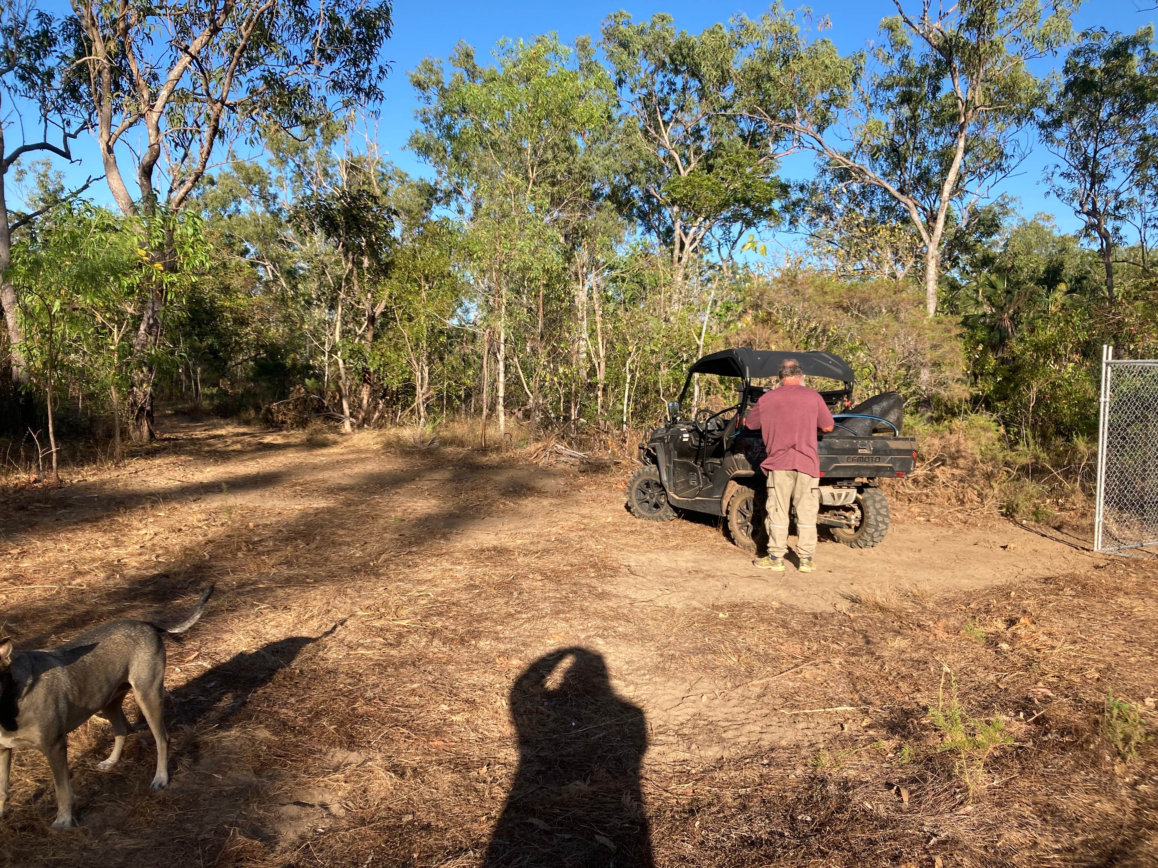Dundee Coffee Rock camping with dog