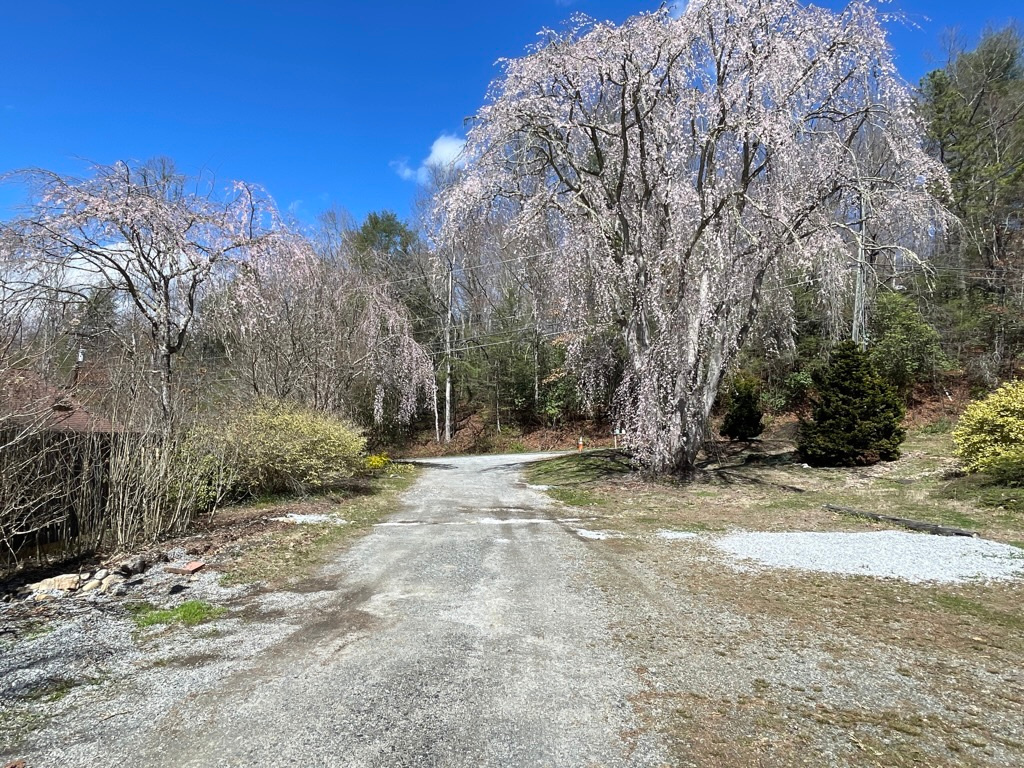 The drive onto our property