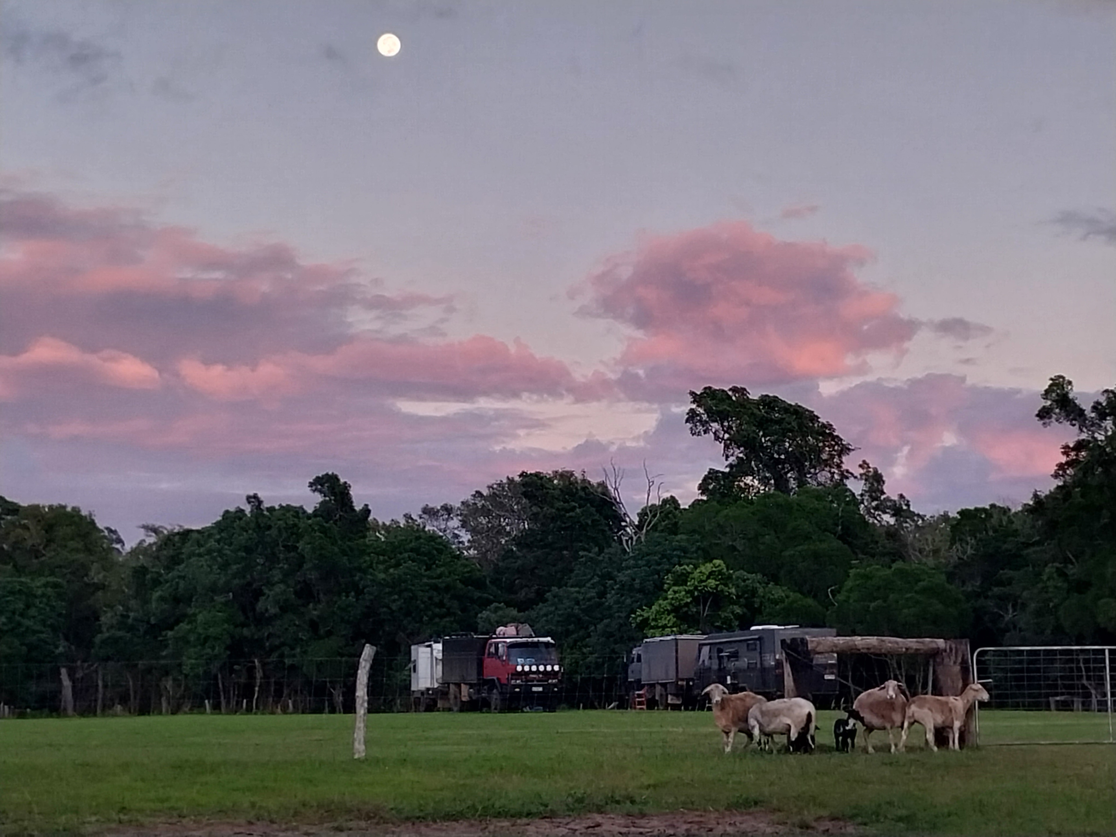 Plenty of room for big rigs, and sheep under the morning sunrises.