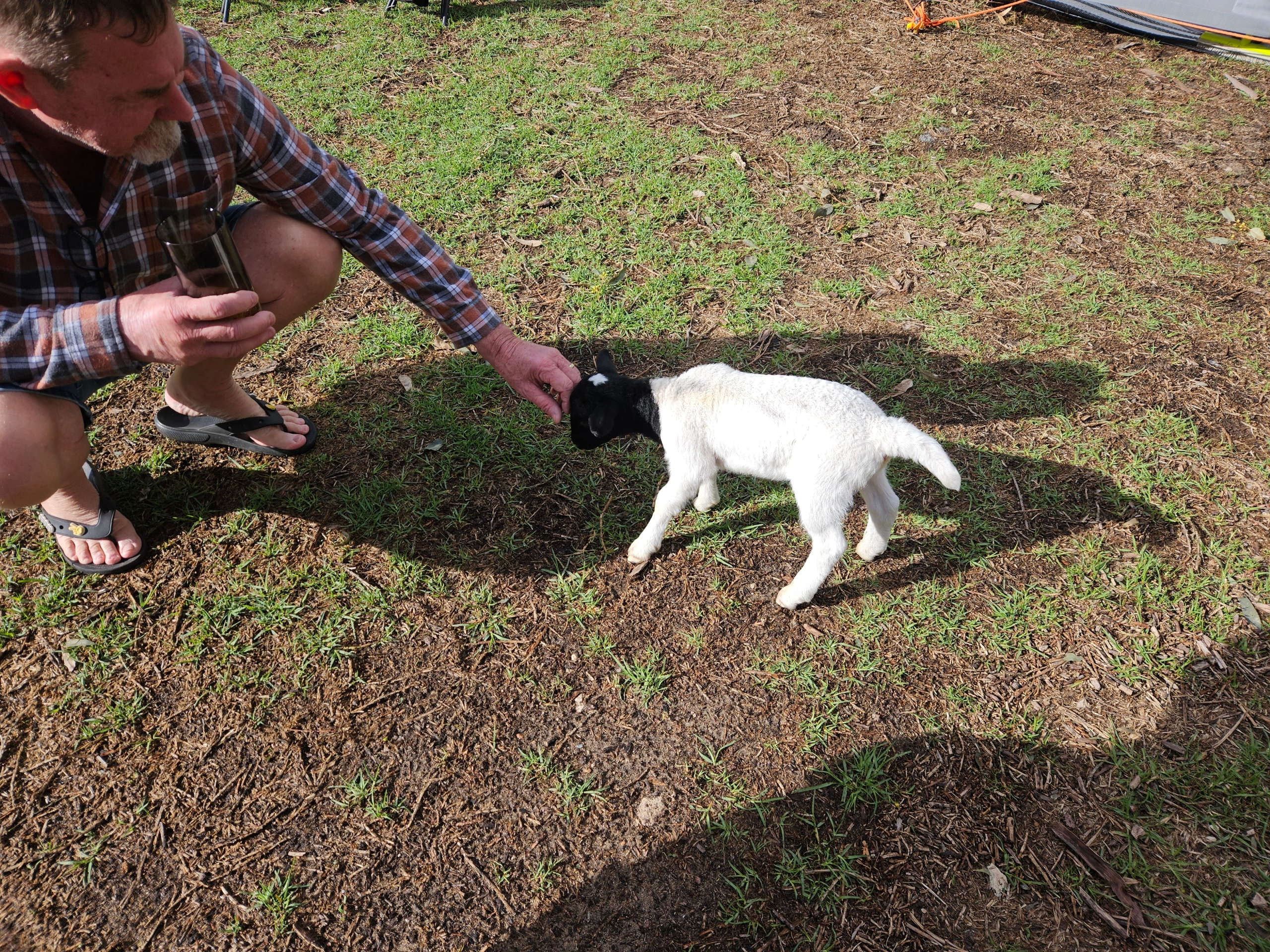Freedom Farmstay - Baldivis Rural