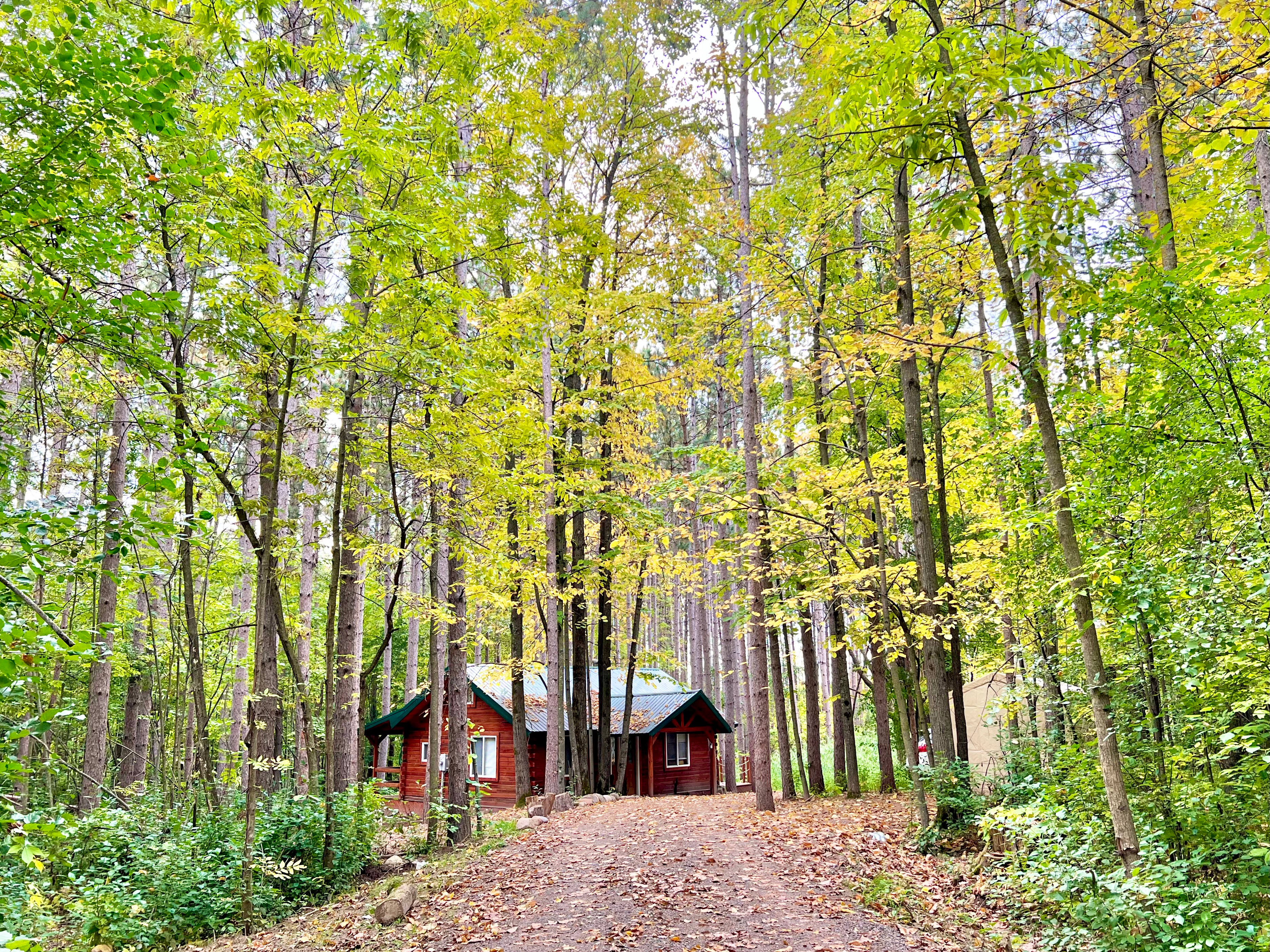 Peaceful Cabin In The Woods