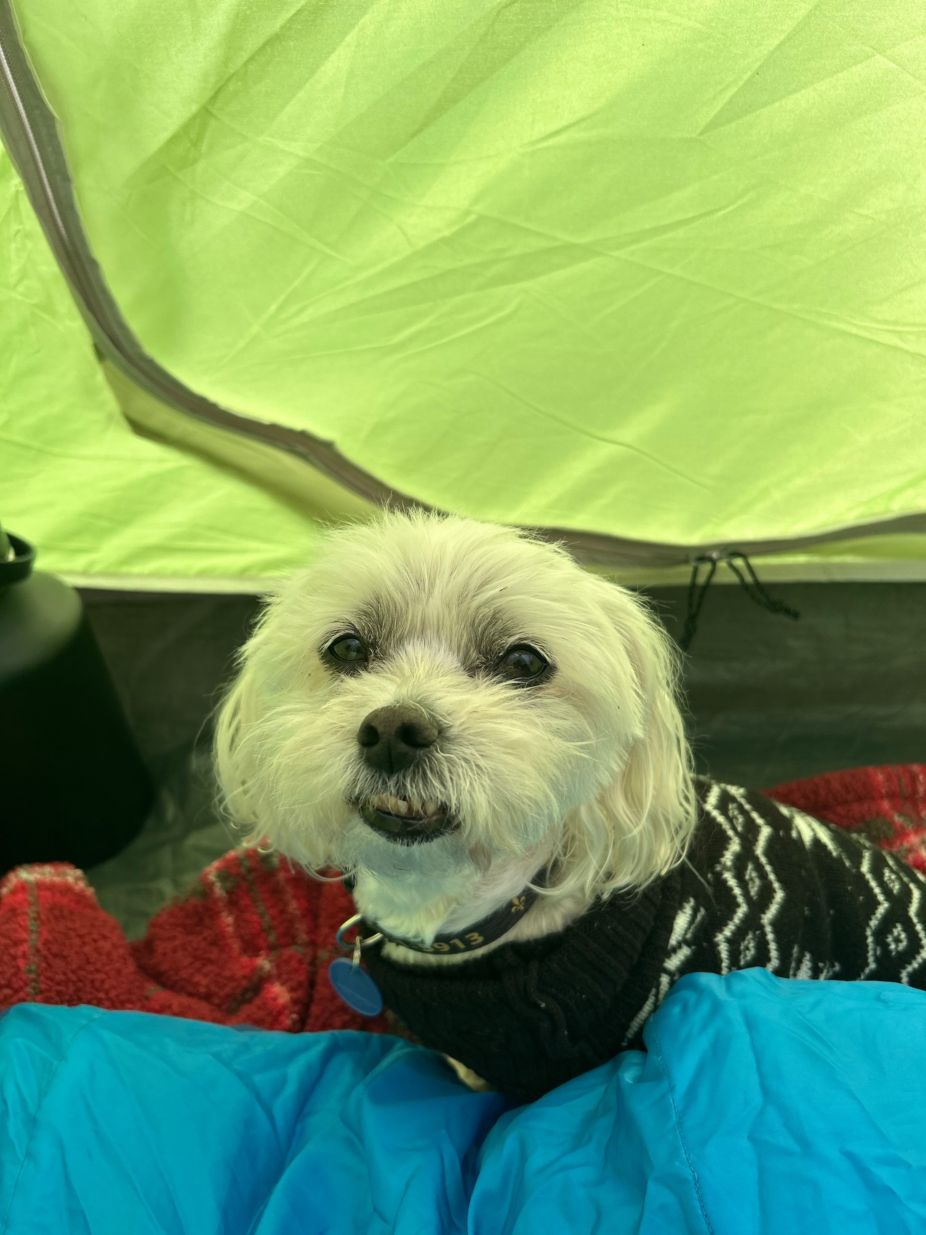 Haines Falls Mountain Camping