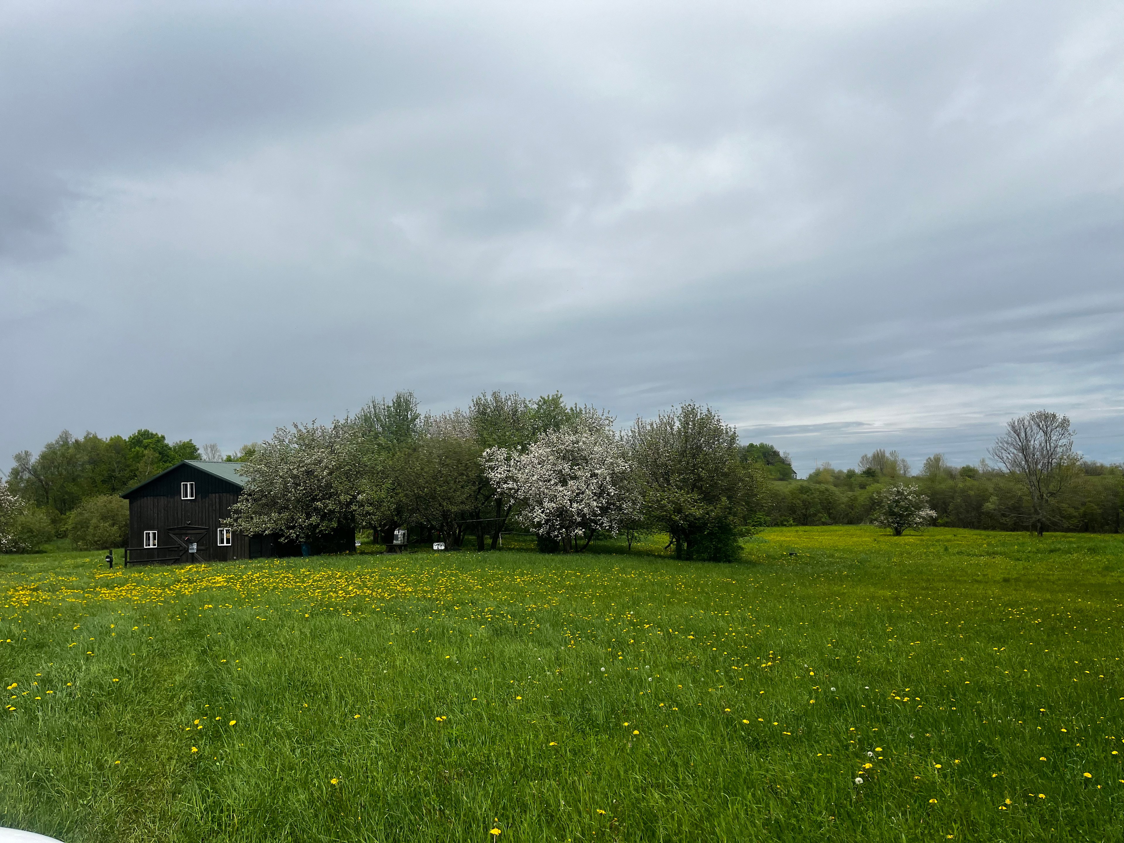 Private Field camping in scenic NY