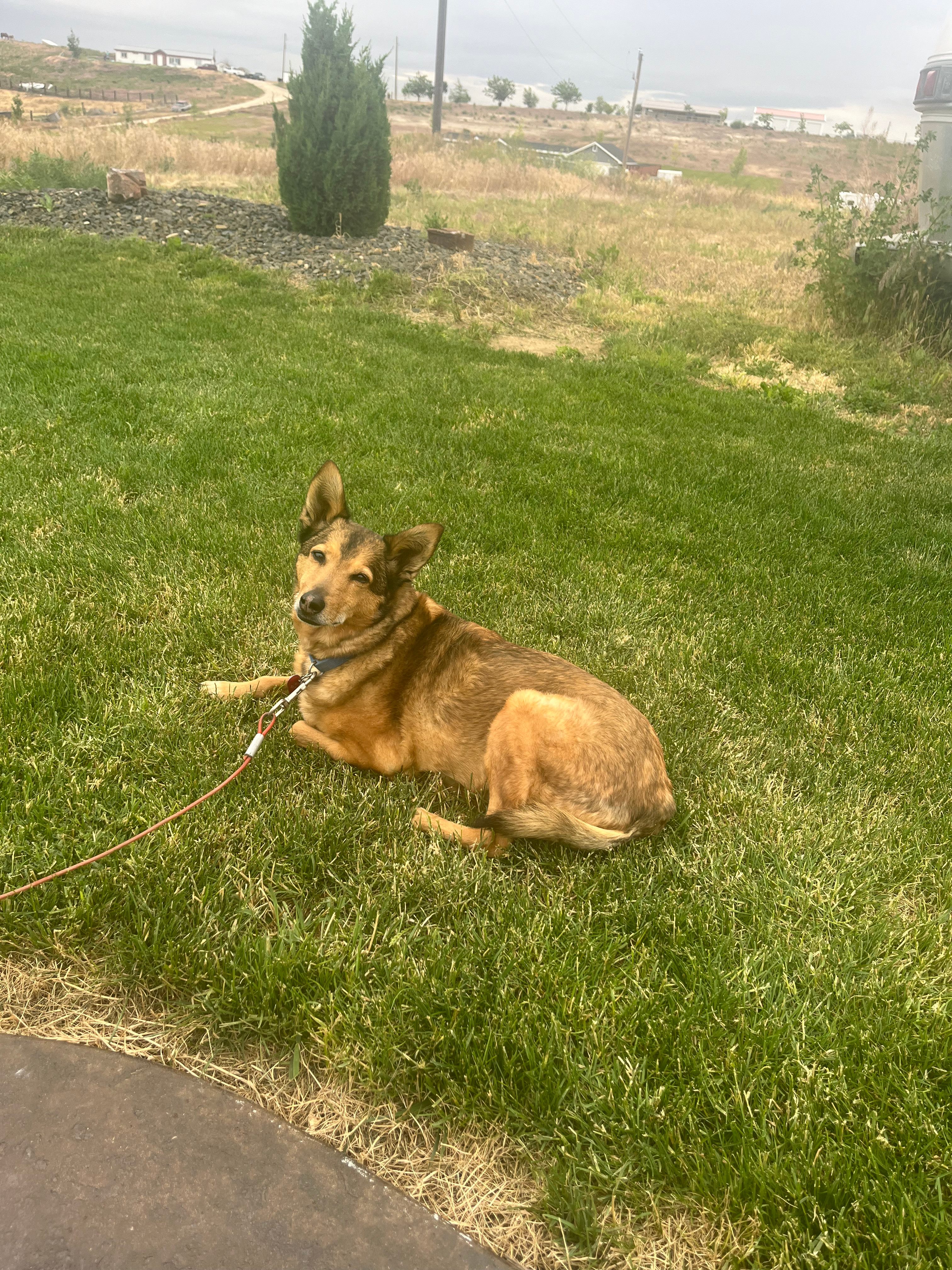 Sandhill View Ranch Campsites ⛺️