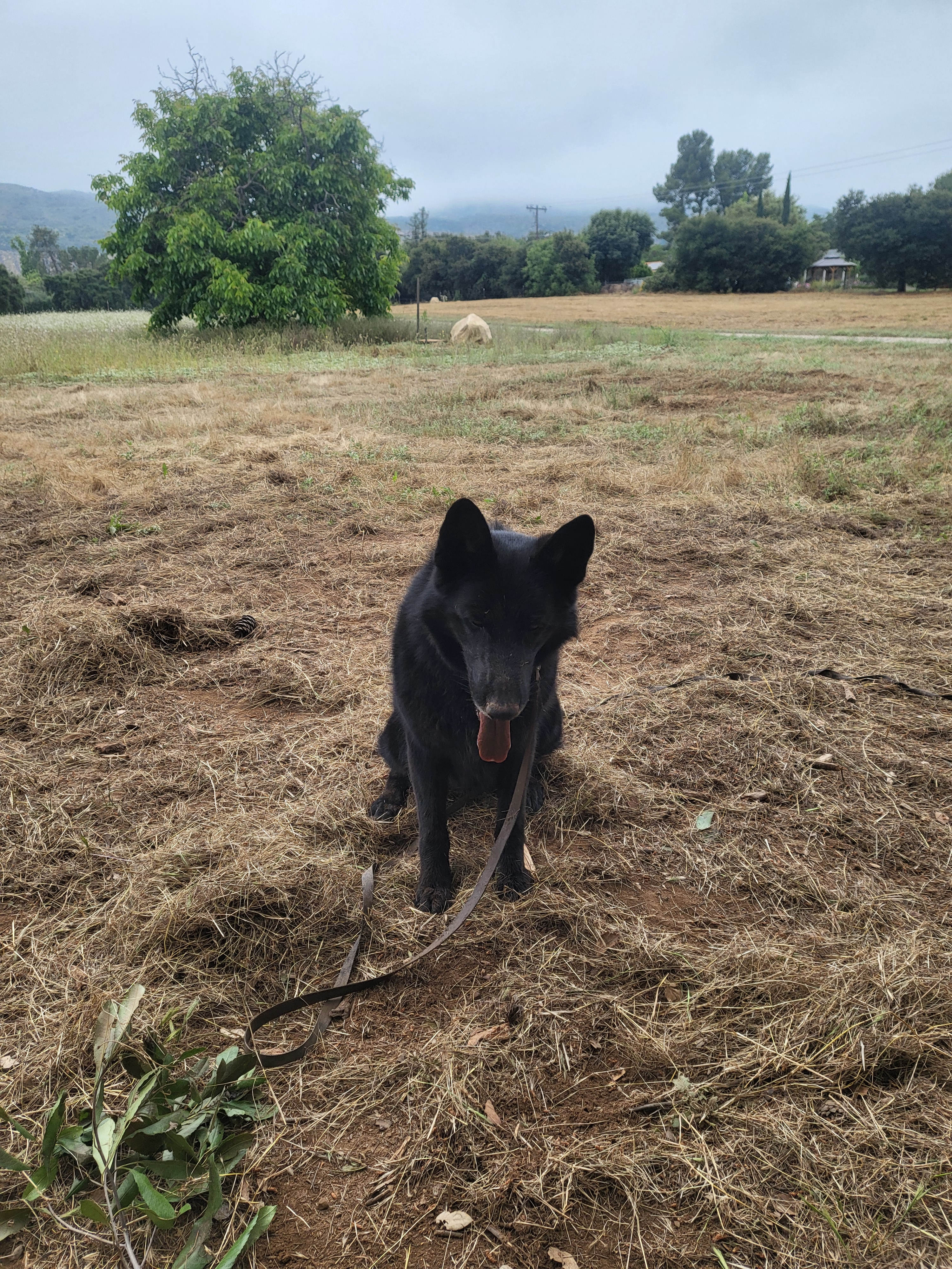 Park At Tar Creeks Ranch