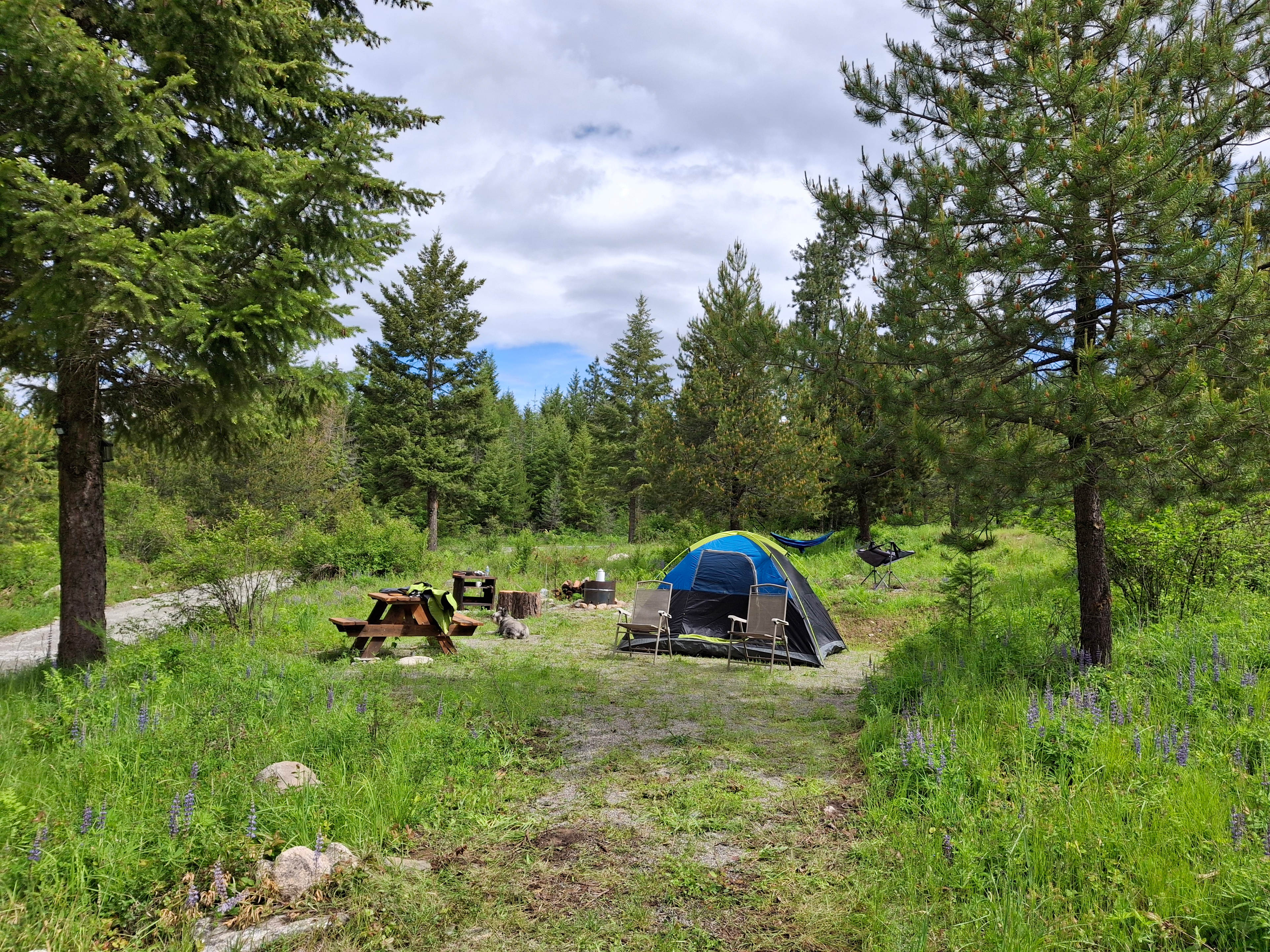 Careywood Hollow campsite.