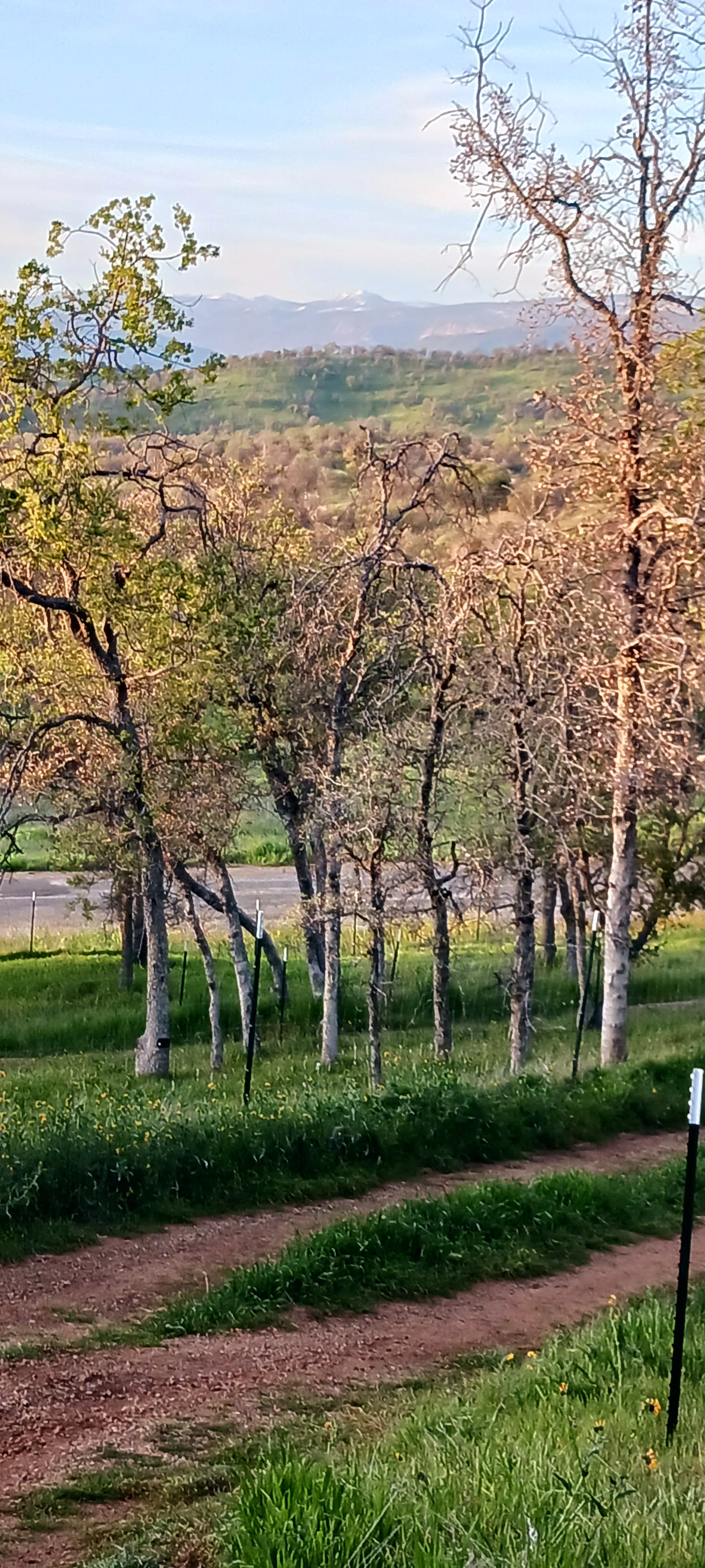 Spectacular views of China Peak and California foothills 