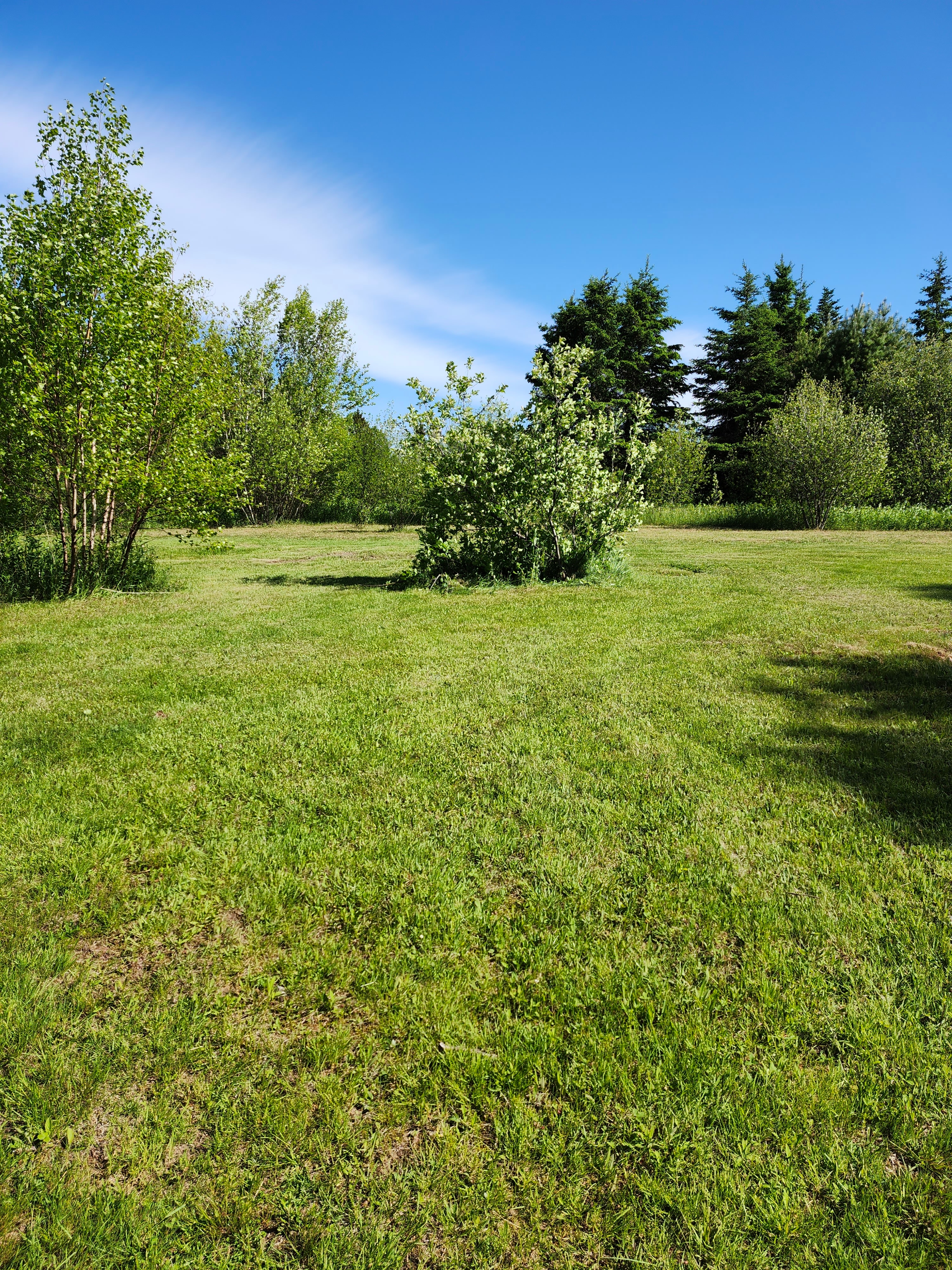 Peaceful Acres