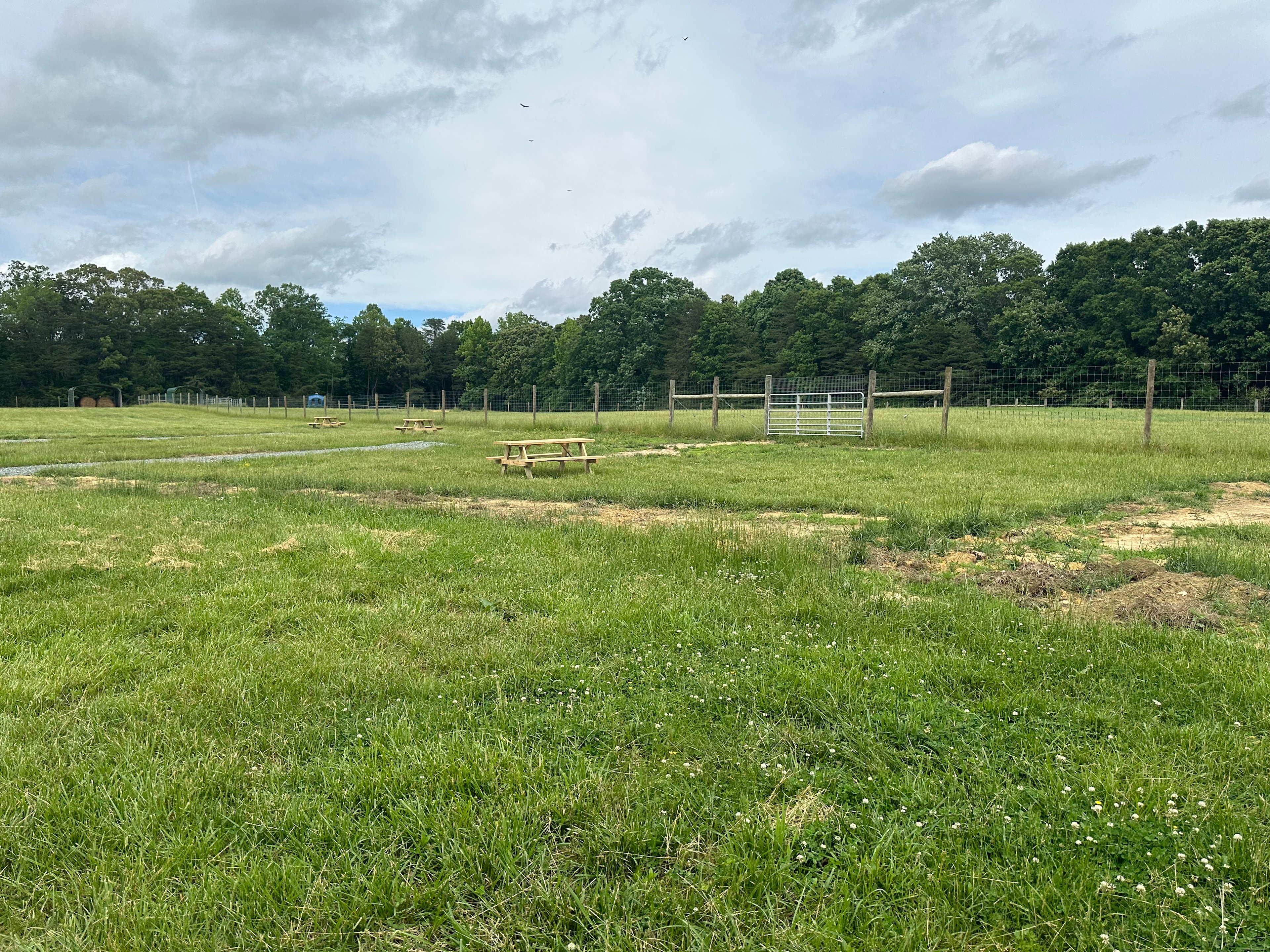Field by llamas and pond to set up camp.