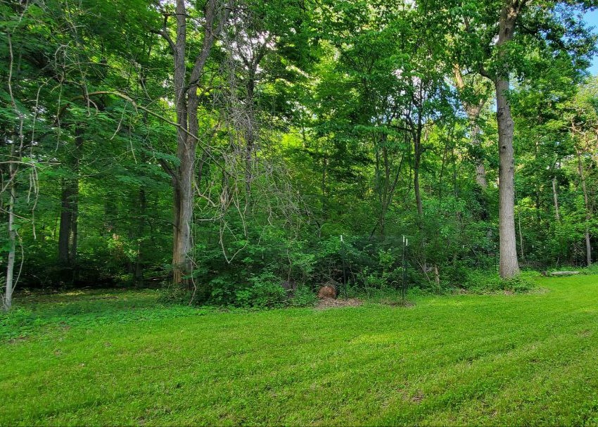 SITE #2 (Entrance) "Dogwood in the Orchard": Water hose available for use