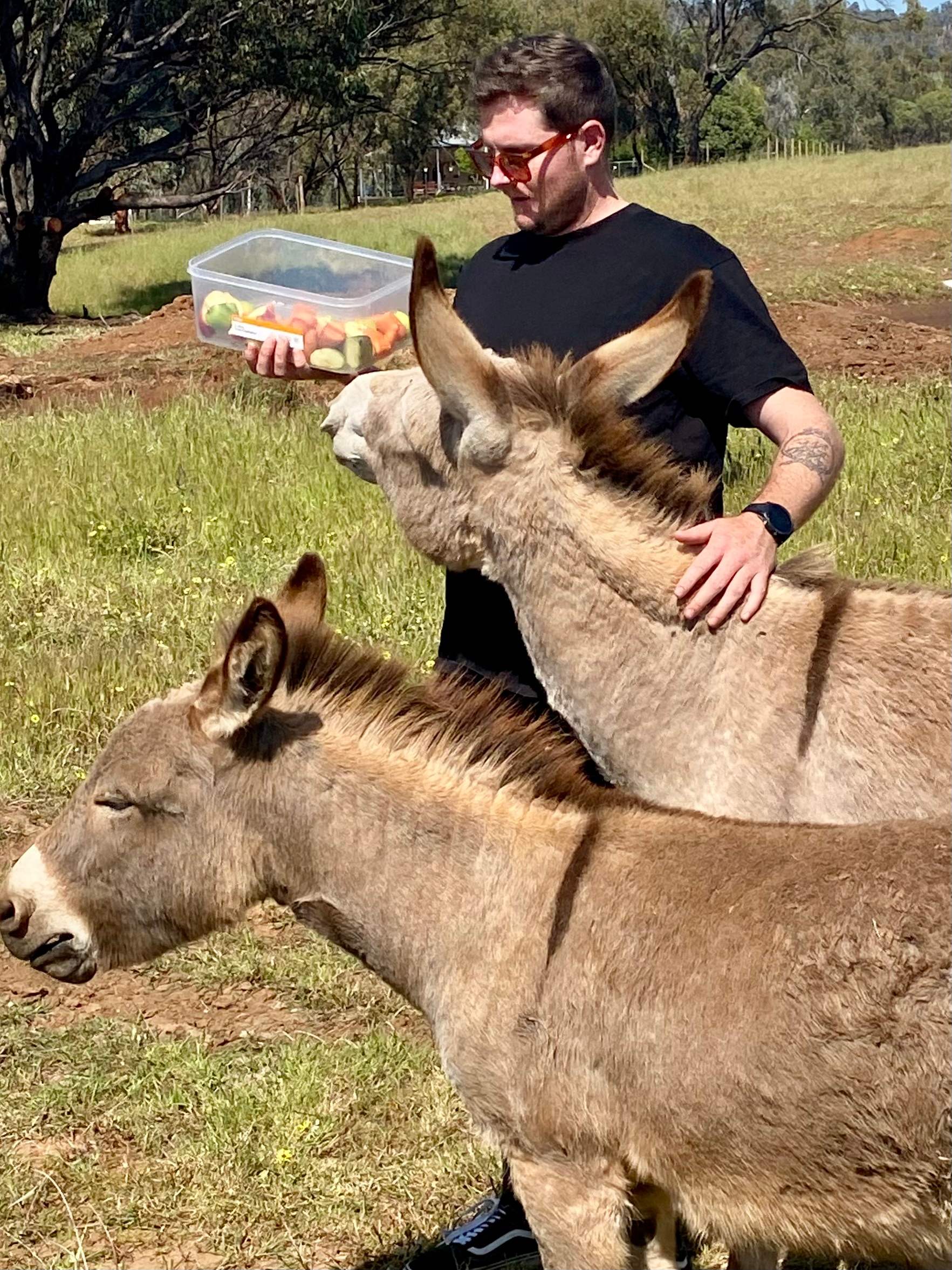 Sandalwood Downs  Farm Stay Toodyay